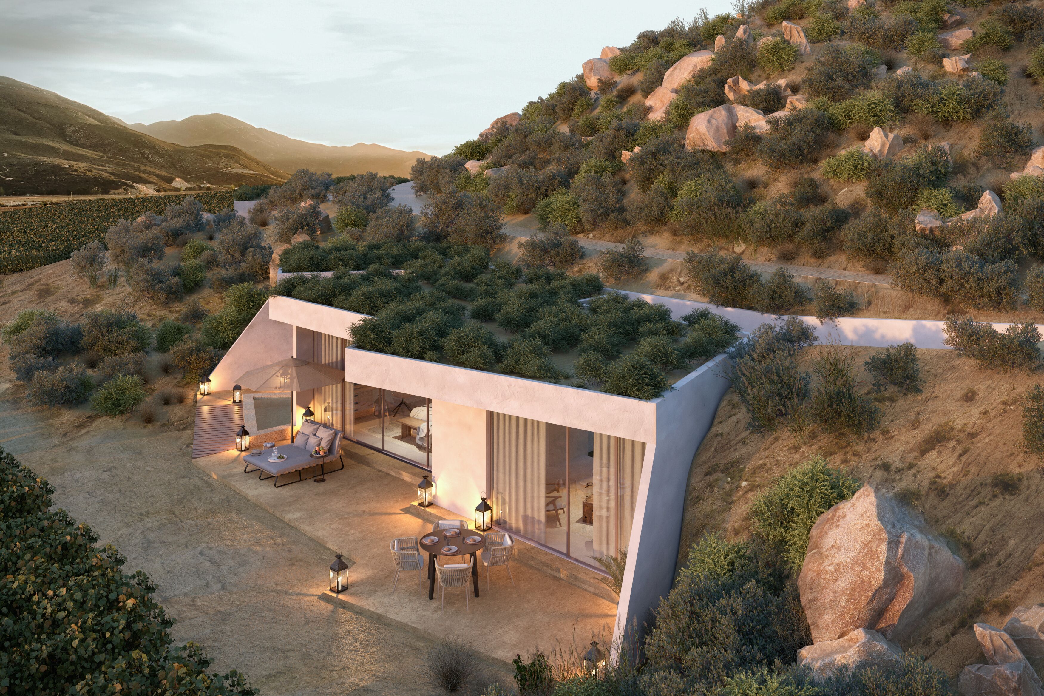 Banyan Tree Veya Valle de Guadalupe