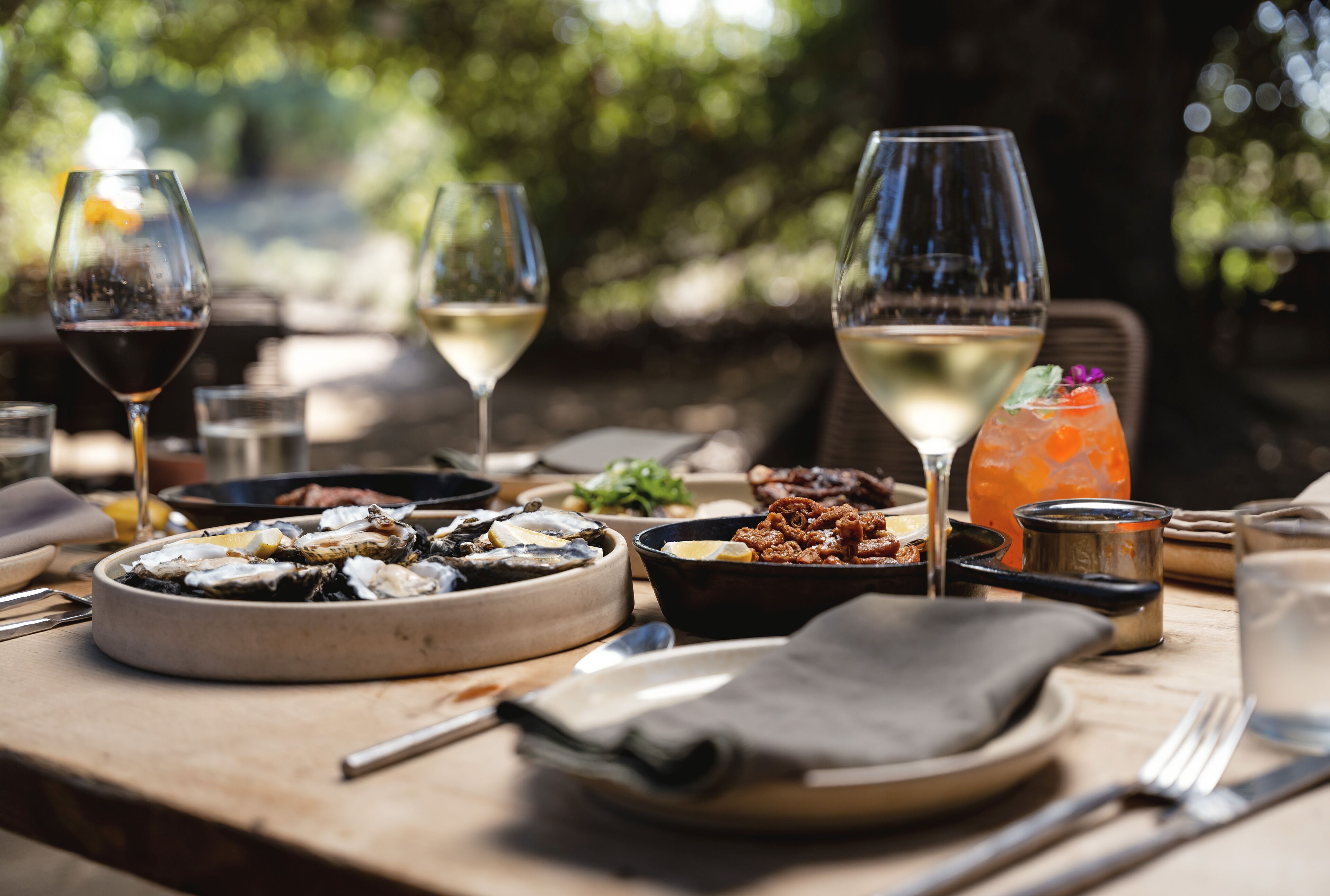 Banyan Tree Veya Valle de Guadalupe