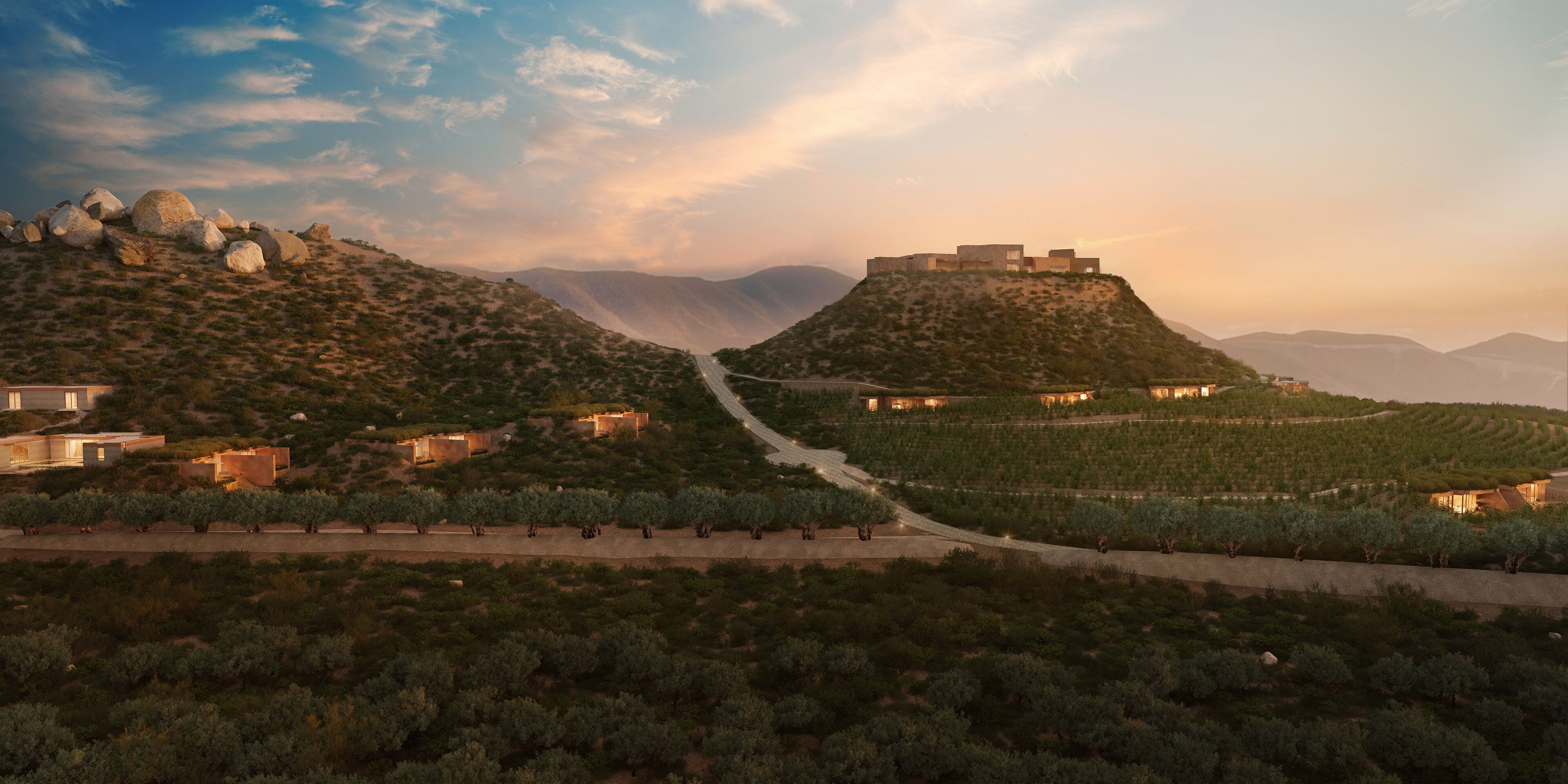 Banyan Tree Veya Valle de Guadalupe