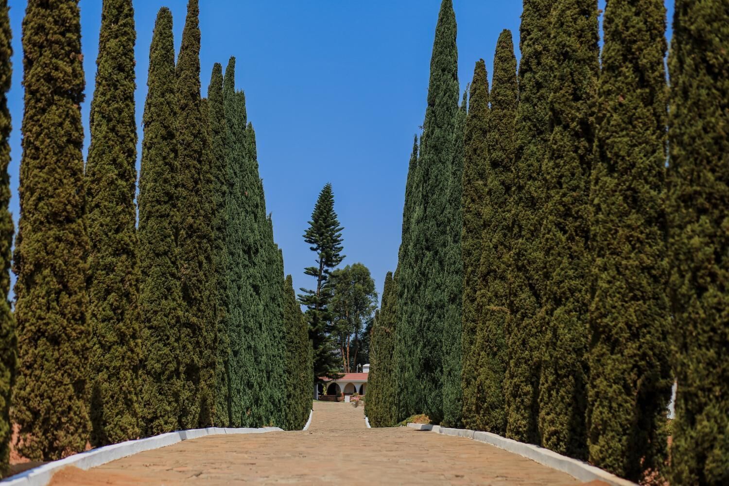 Rancho El Parral