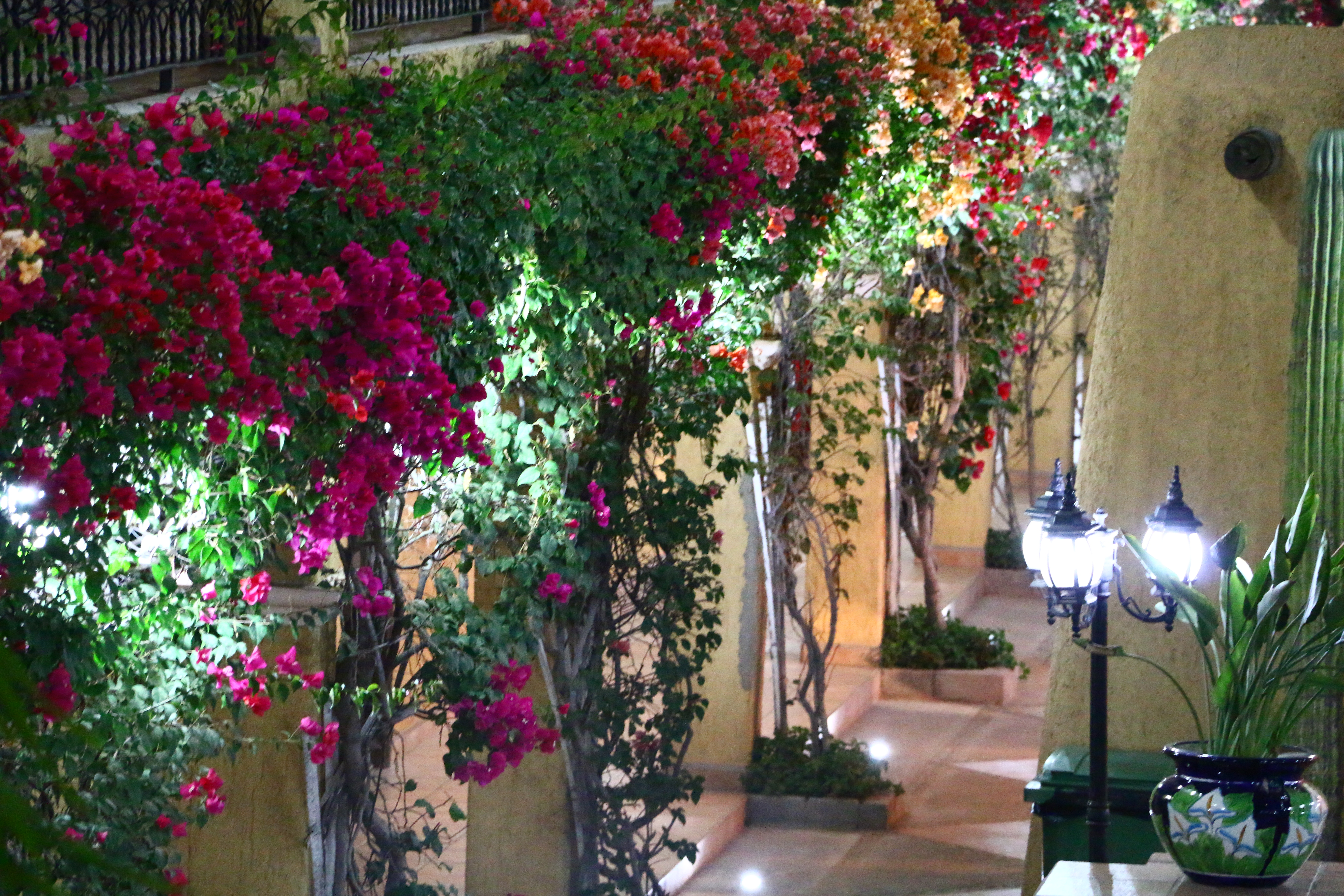 Hacienda Suites Loreto