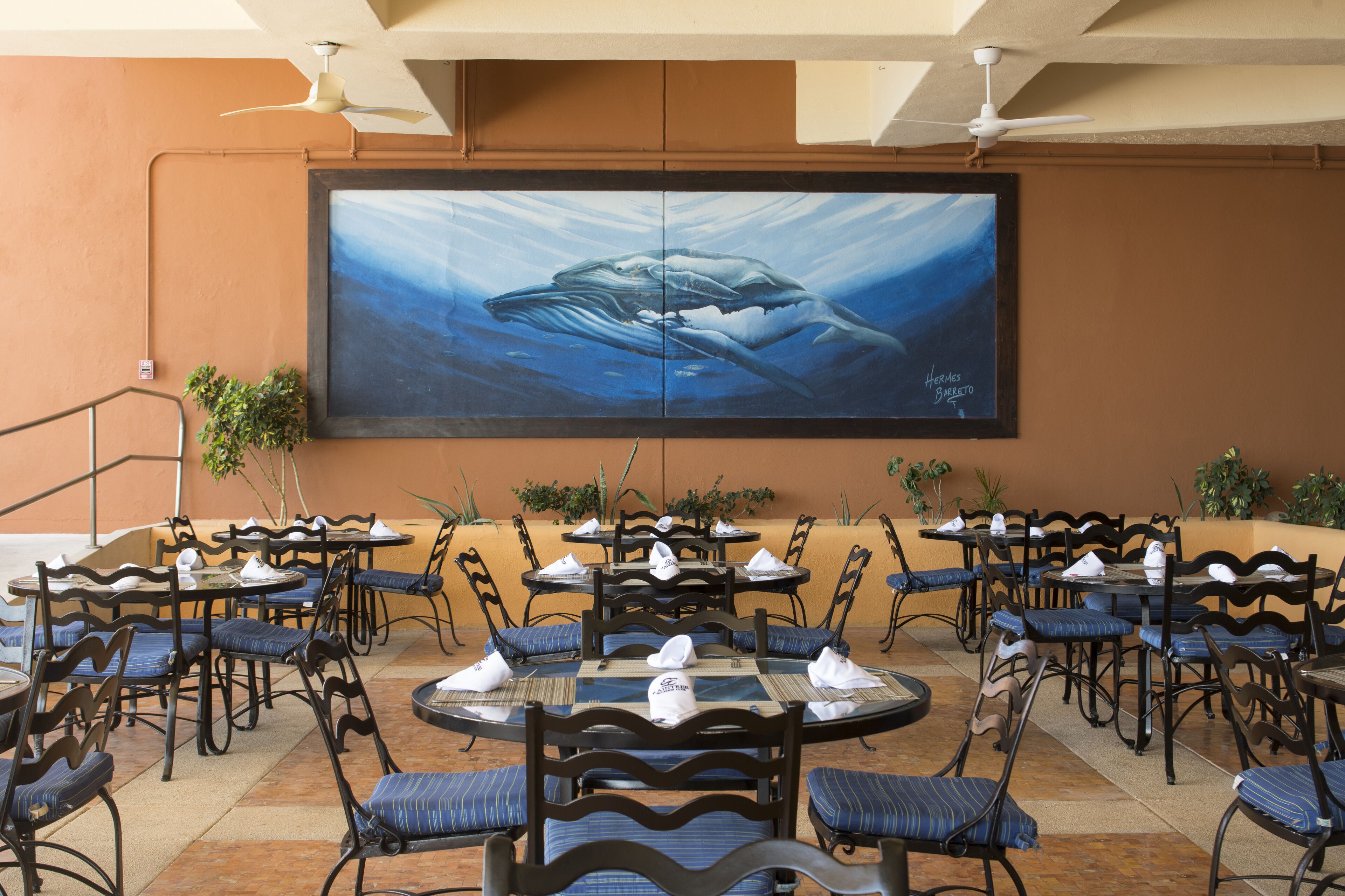 Club Regina Los Cabos