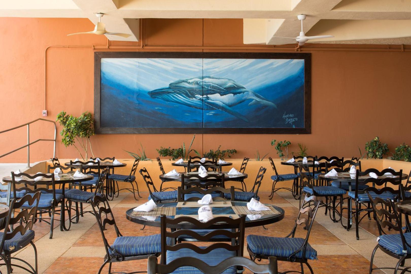 Club Regina Los Cabos