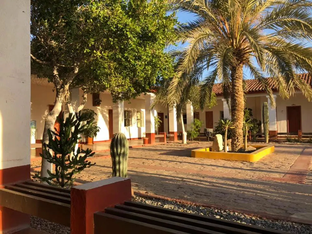Hotel Las Palmas