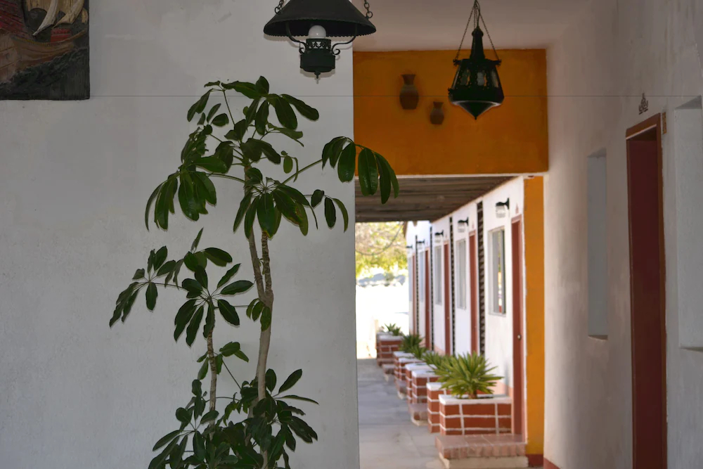 Hotel Las Palmas
