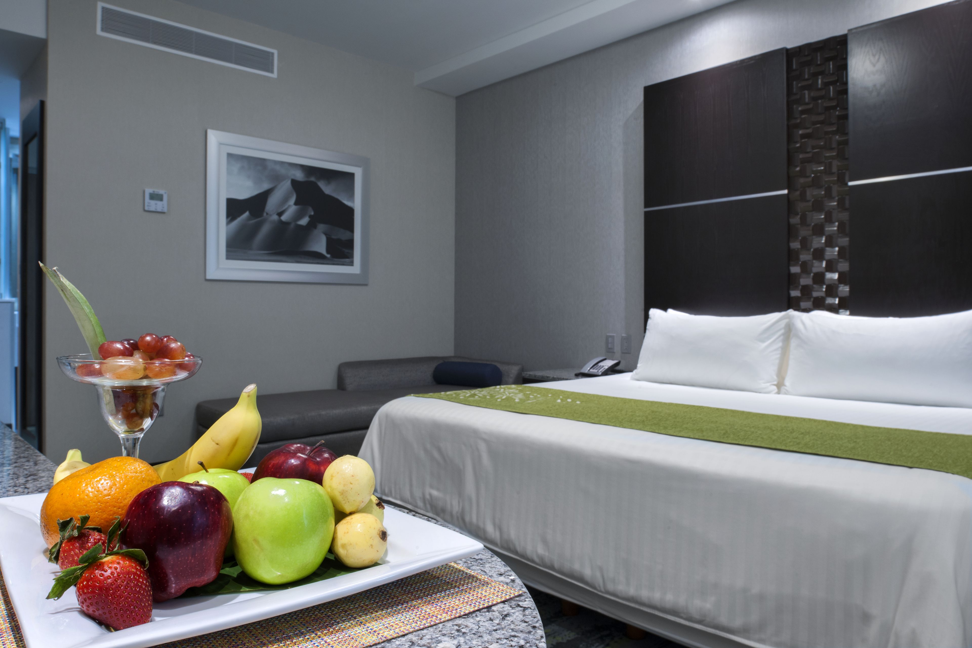 Hotel Araiza San Luis