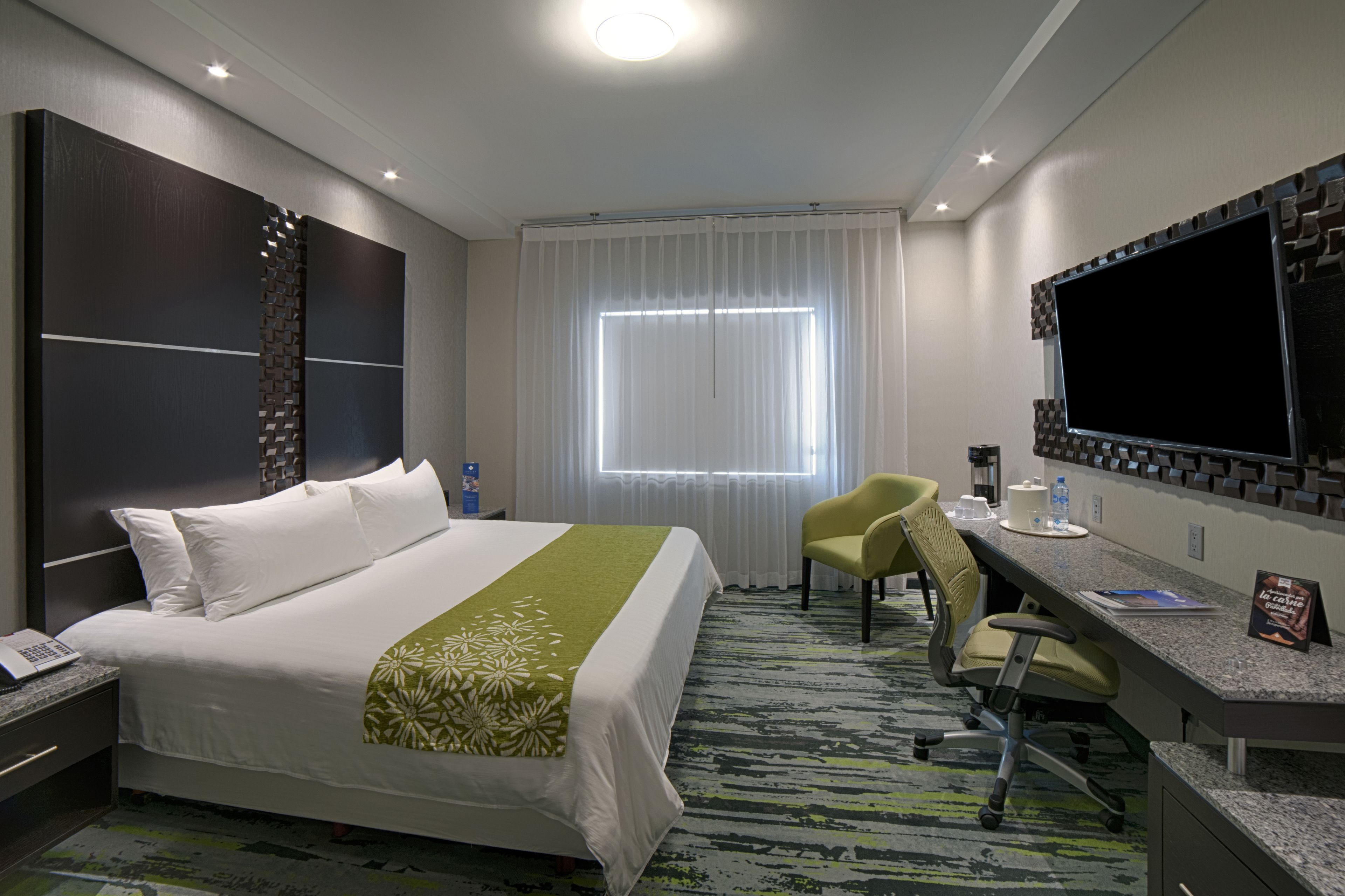 Hotel Araiza San Luis