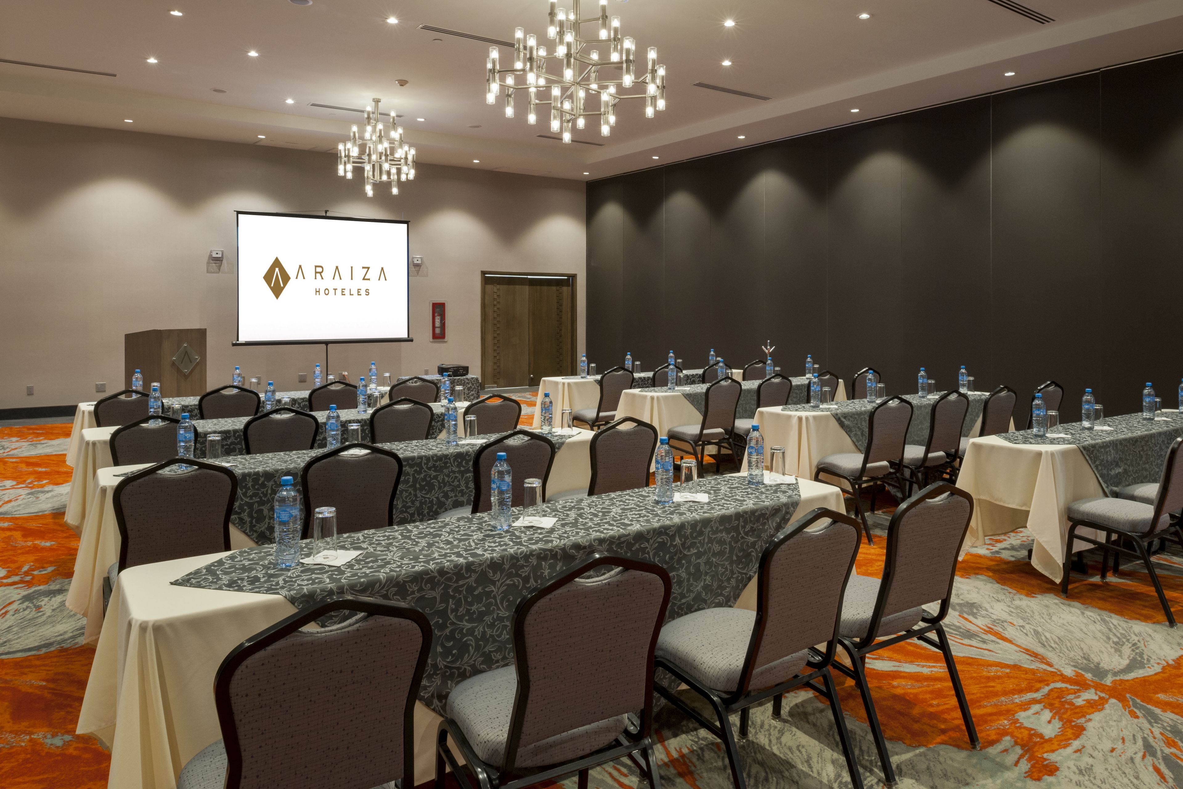 Hotel Araiza San Luis