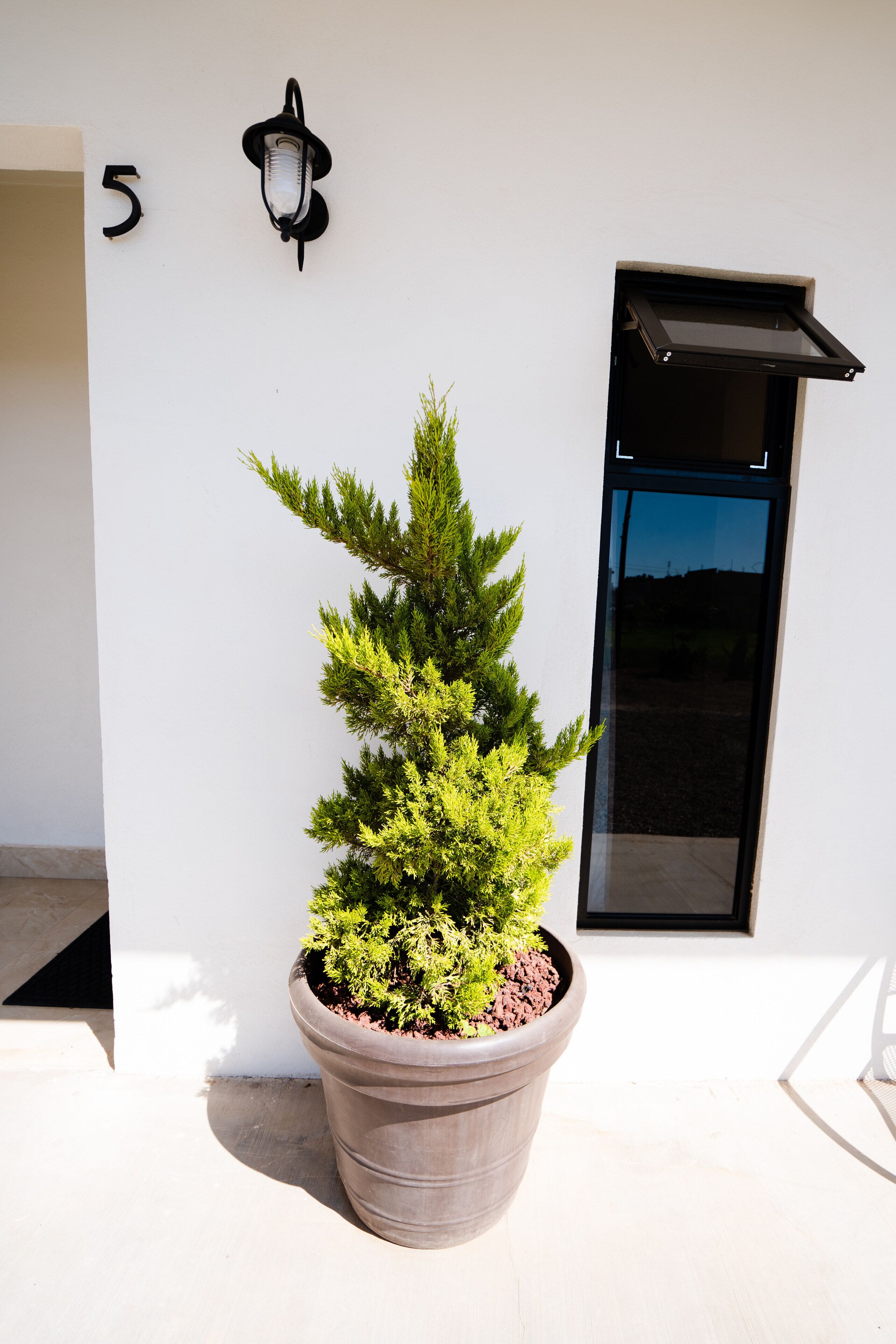 Hotel & Rv Park Rosa Evelyn