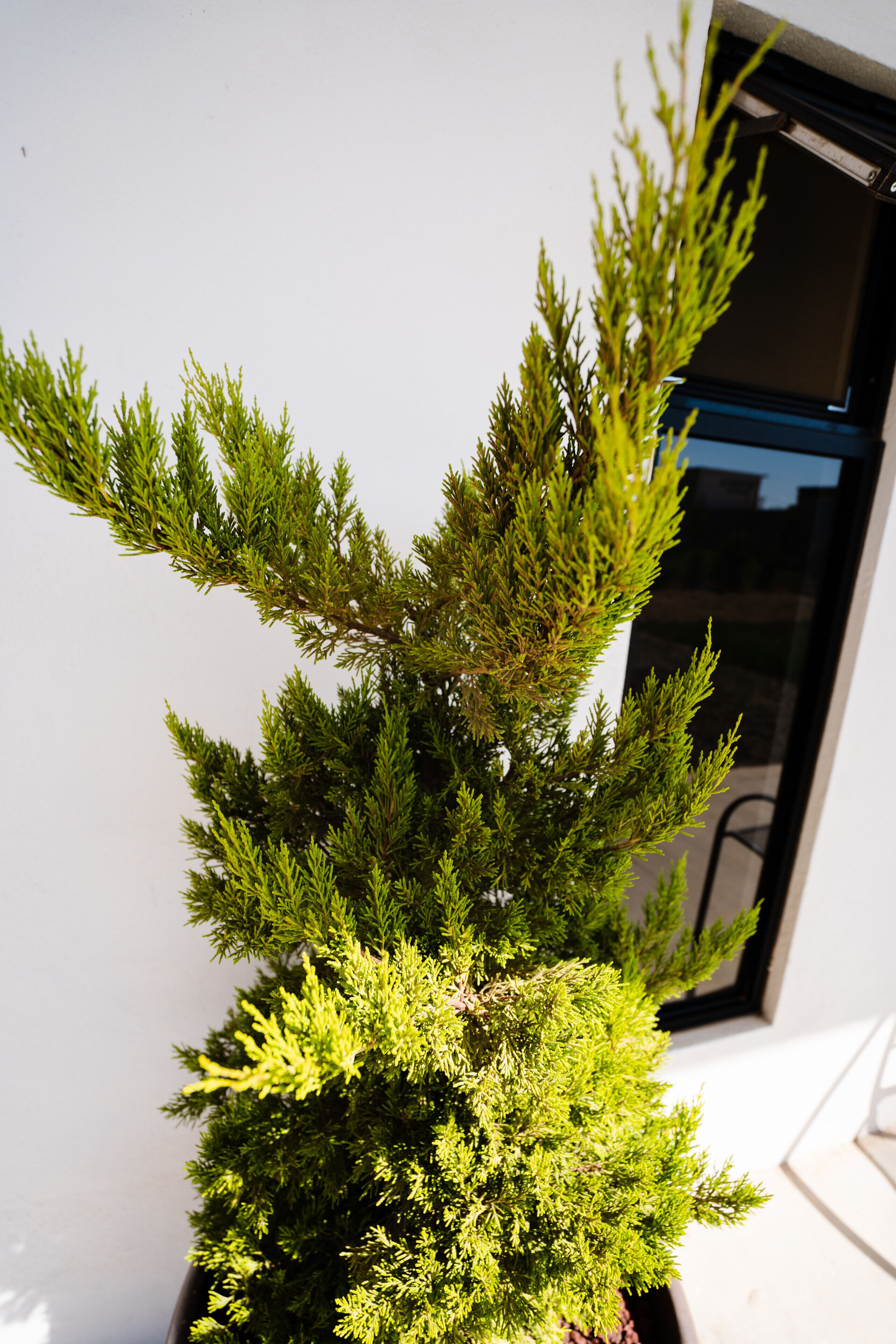 Hotel & Rv Park Rosa Evelyn