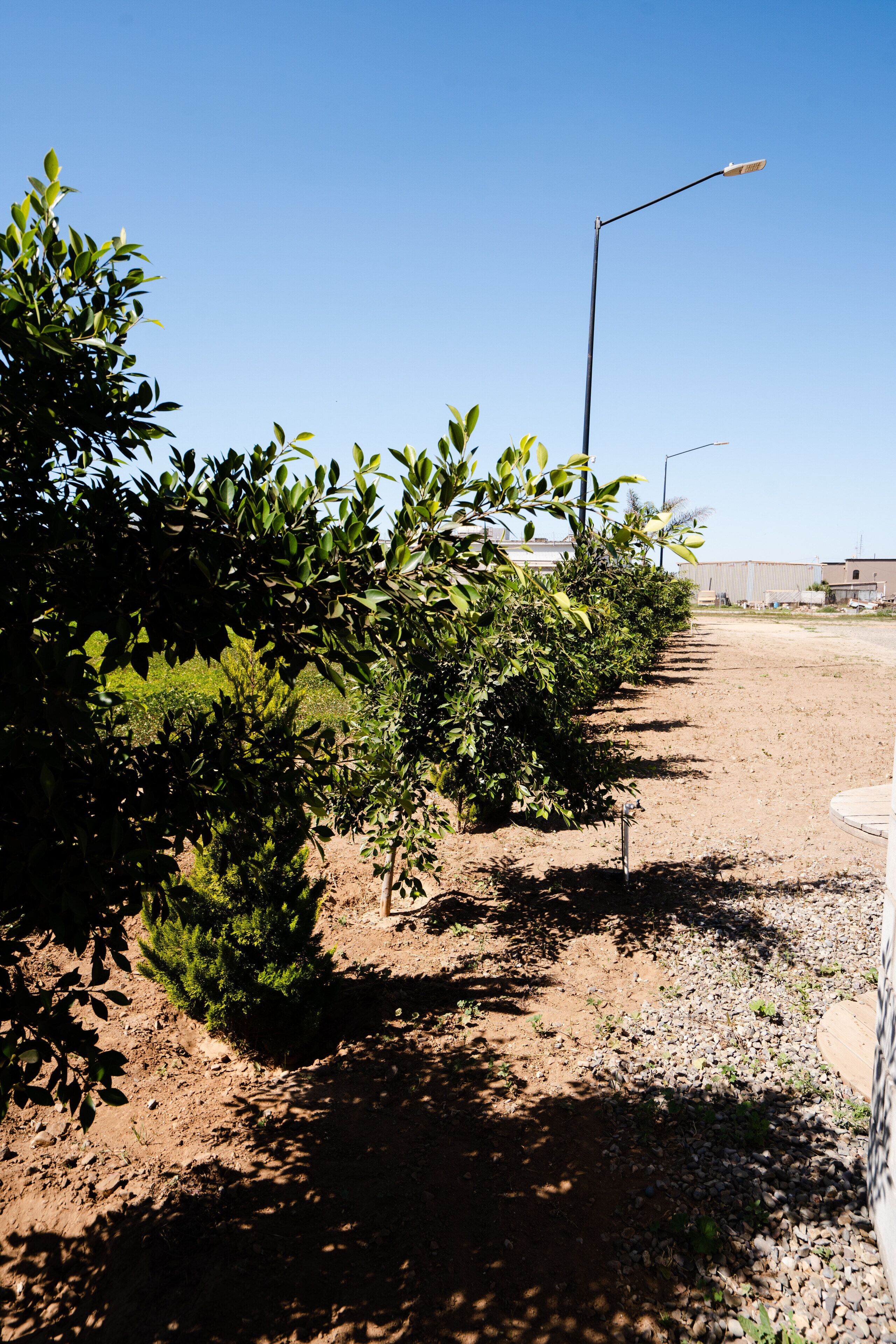 Hotel & Rv Park Rosa Evelyn