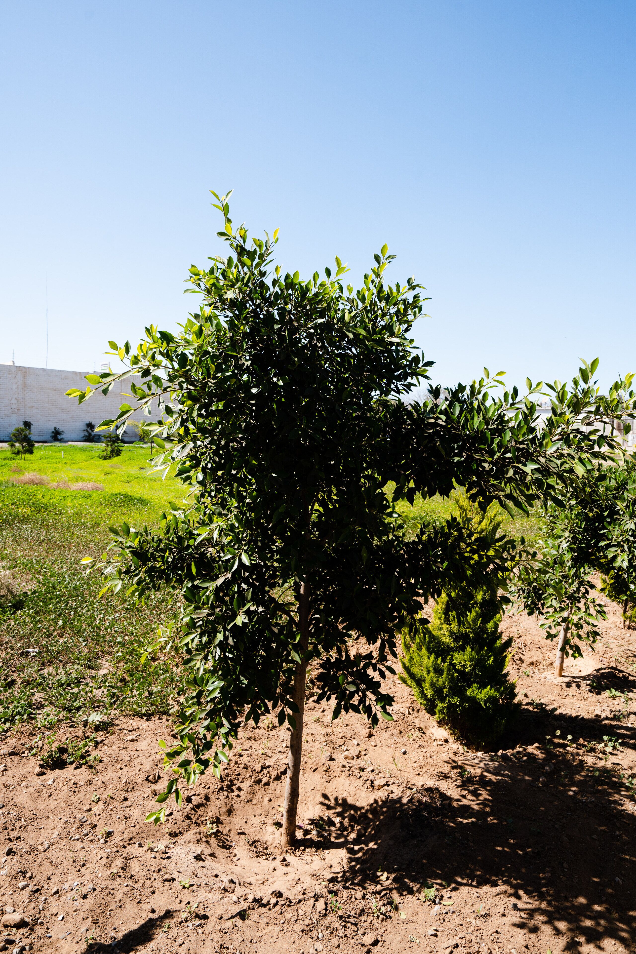 Hotel & Rv Park Rosa Evelyn