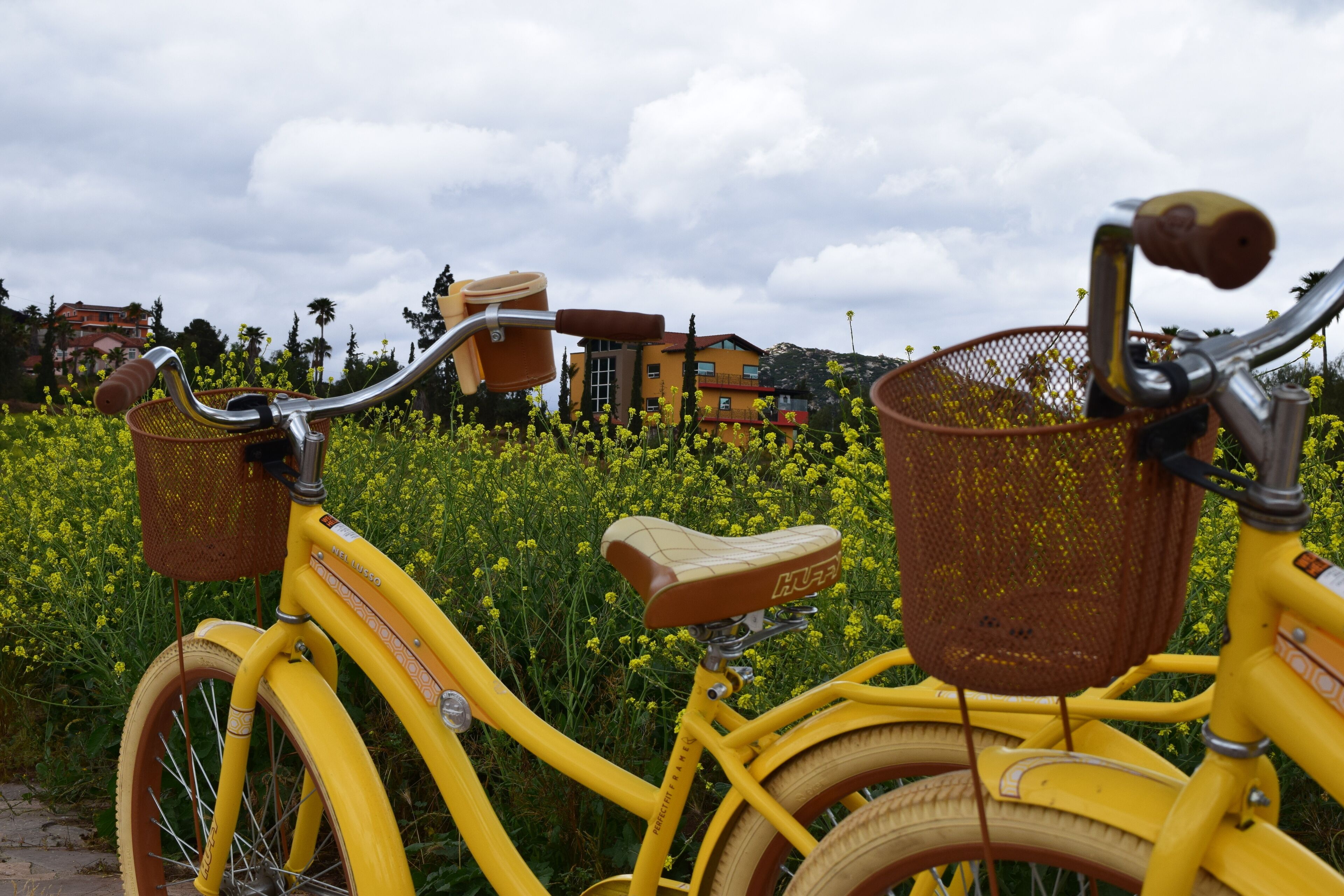Hotel Boutique Rancho Tecate