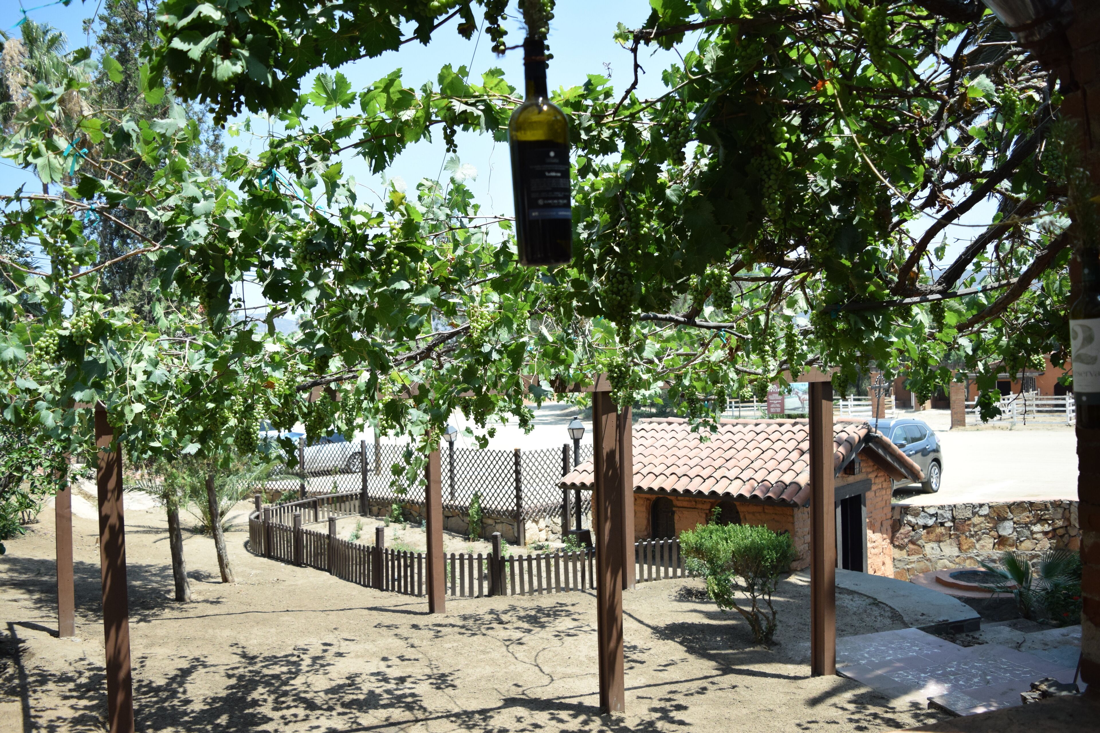 Hotel Boutique Rancho Tecate