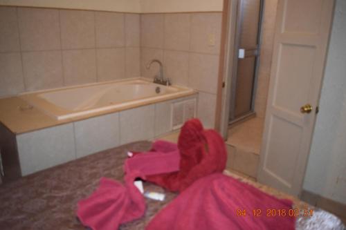 Hotel Revolucion