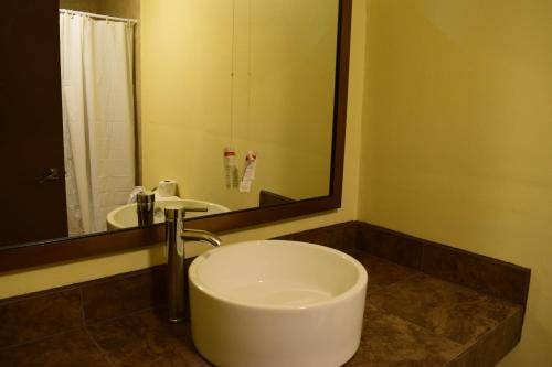 Hotel Revolucion