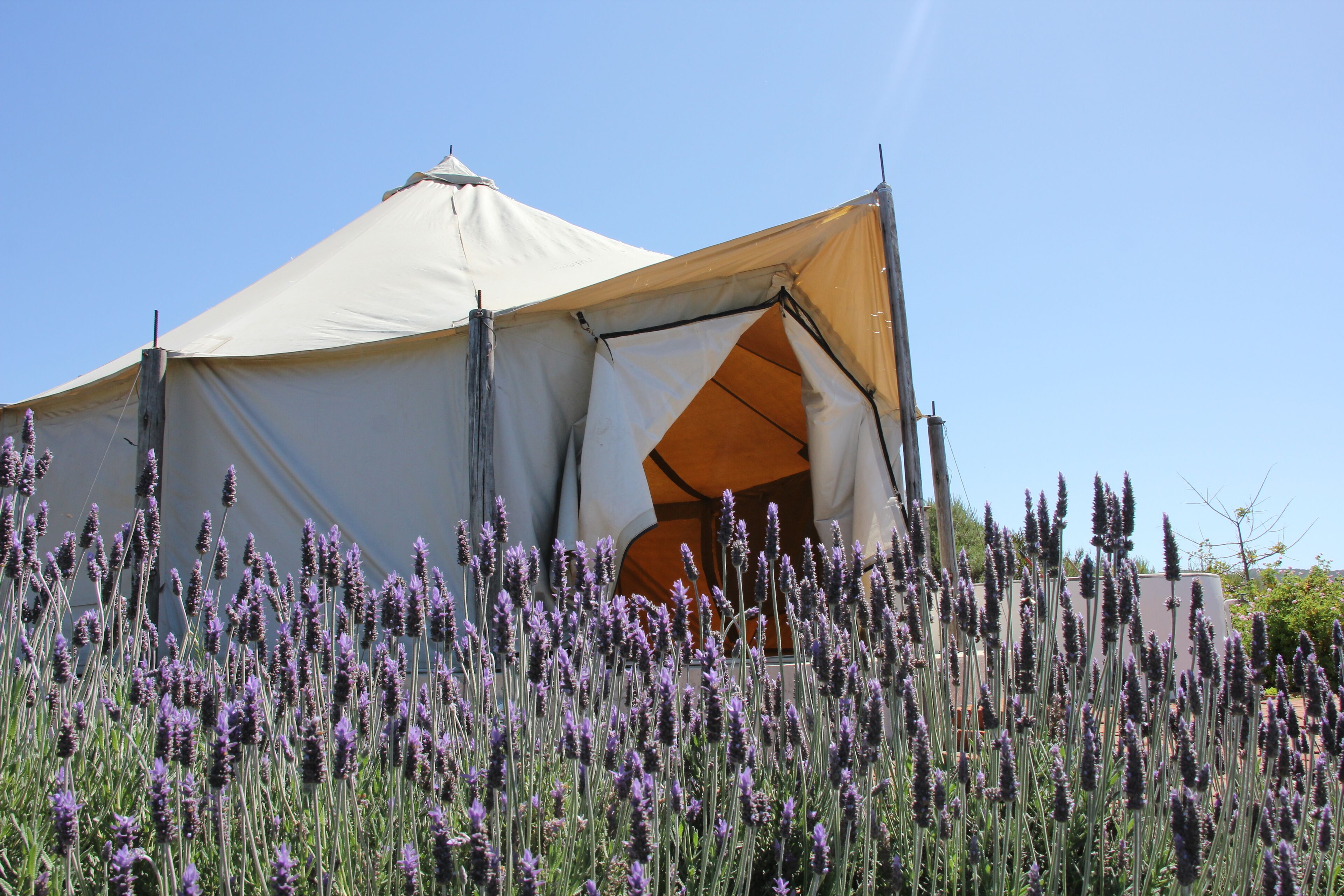 Ally Glamping
