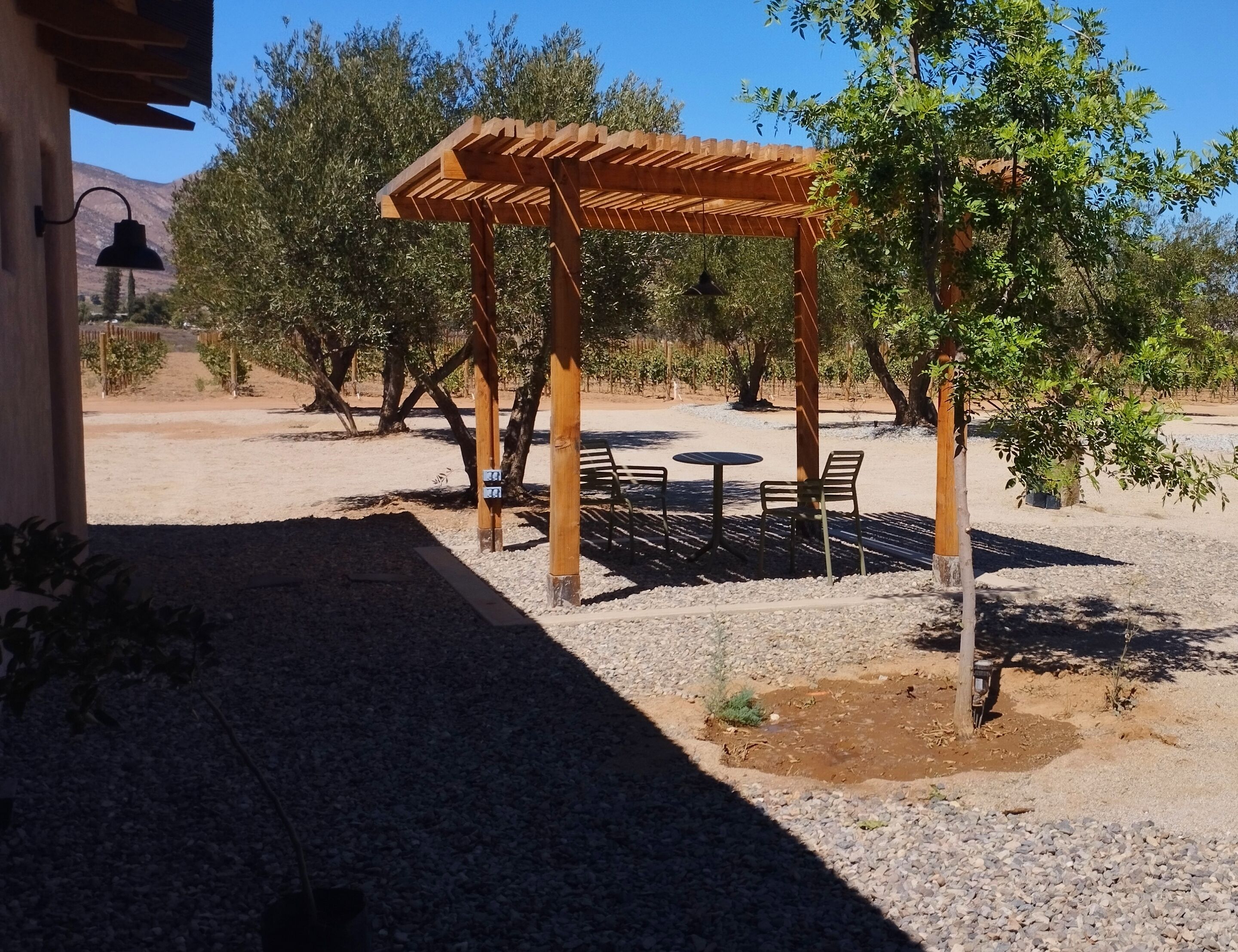 Alma Liebre Vinedos Del Valle