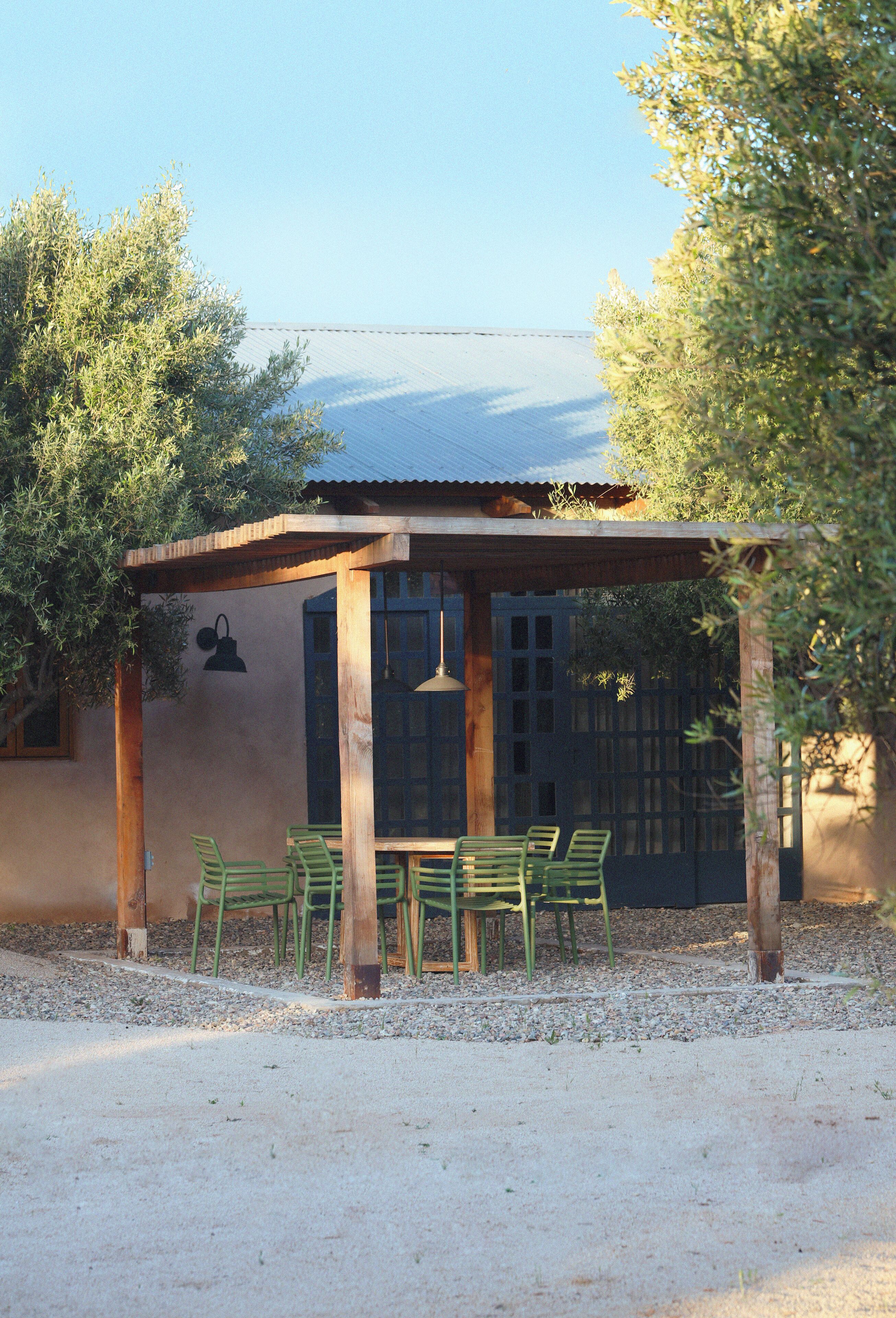 Alma Liebre Vinedos Del Valle