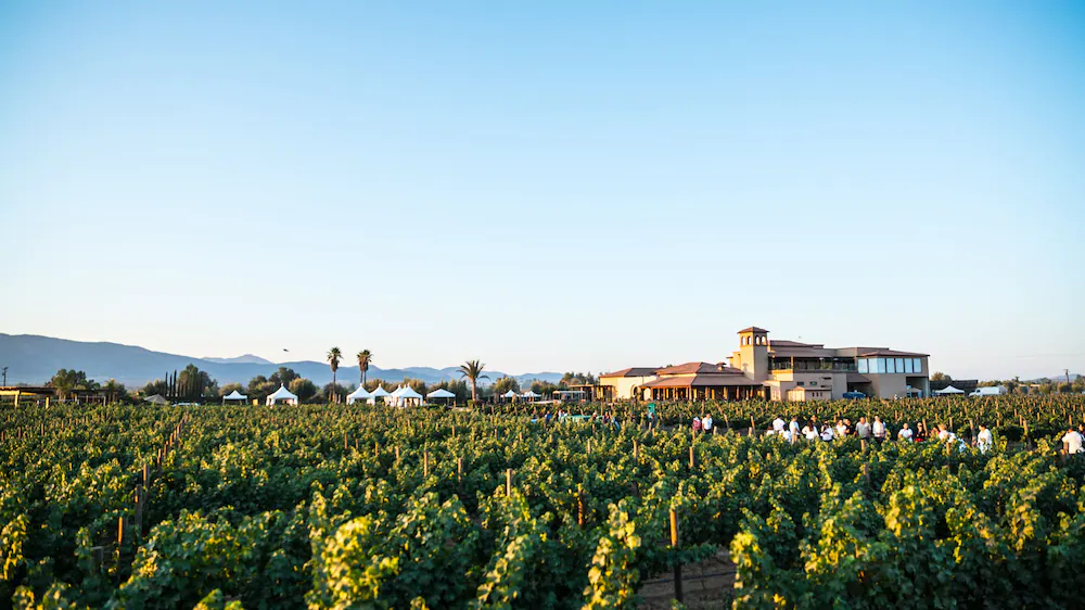 El Cielo Winery & Resort El Cielo Winery & Resort