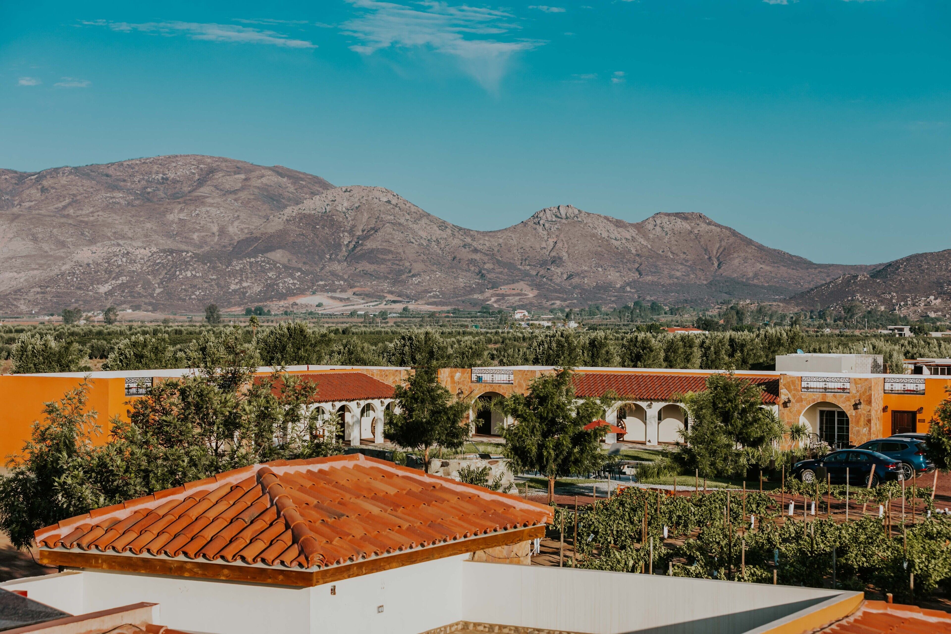 Hacienda Los Olivos, Valle de Guadalupe