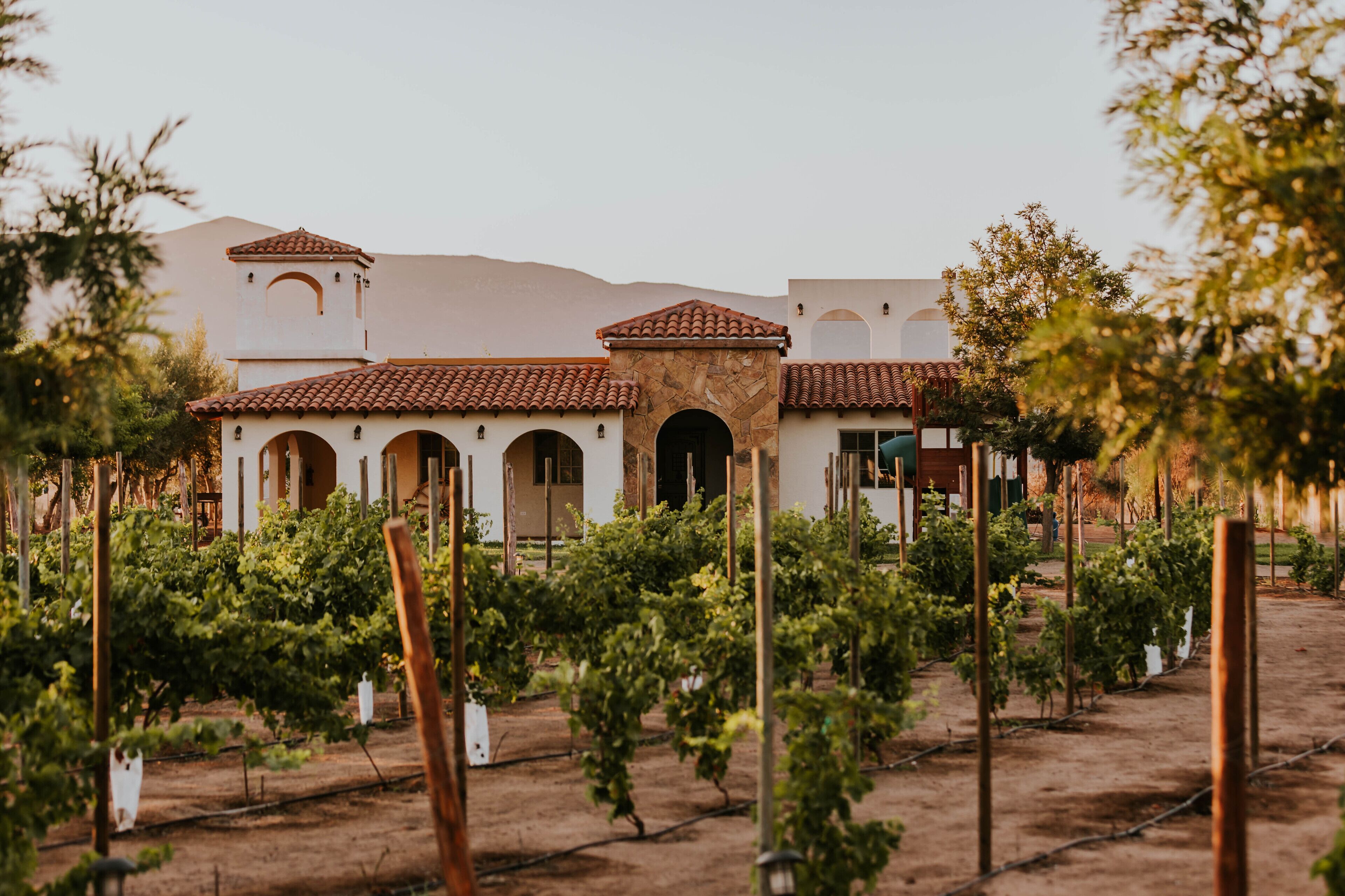 Hacienda Los Olivos, Valle de Guadalupe