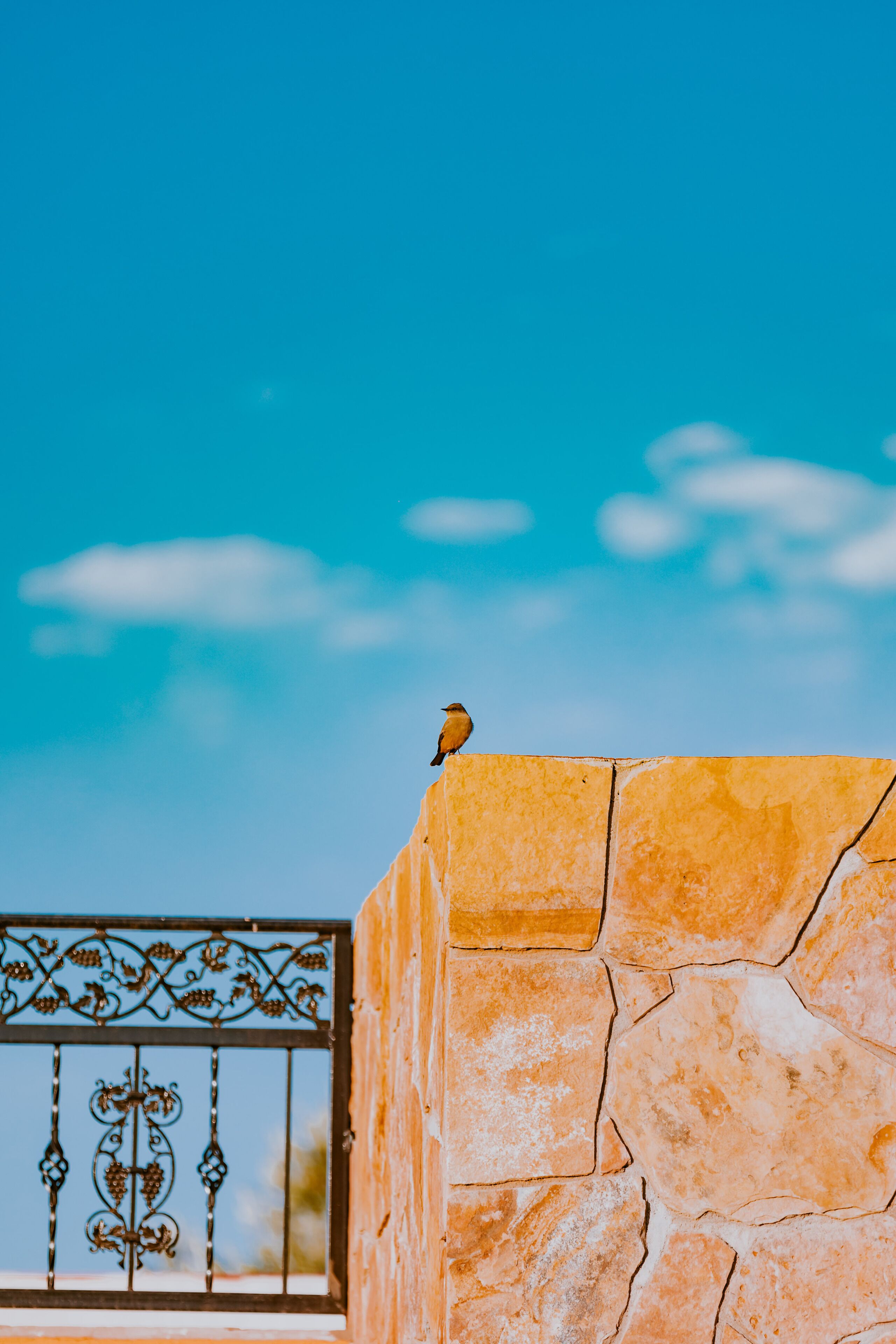 Hacienda Los Olivos, Valle de Guadalupe