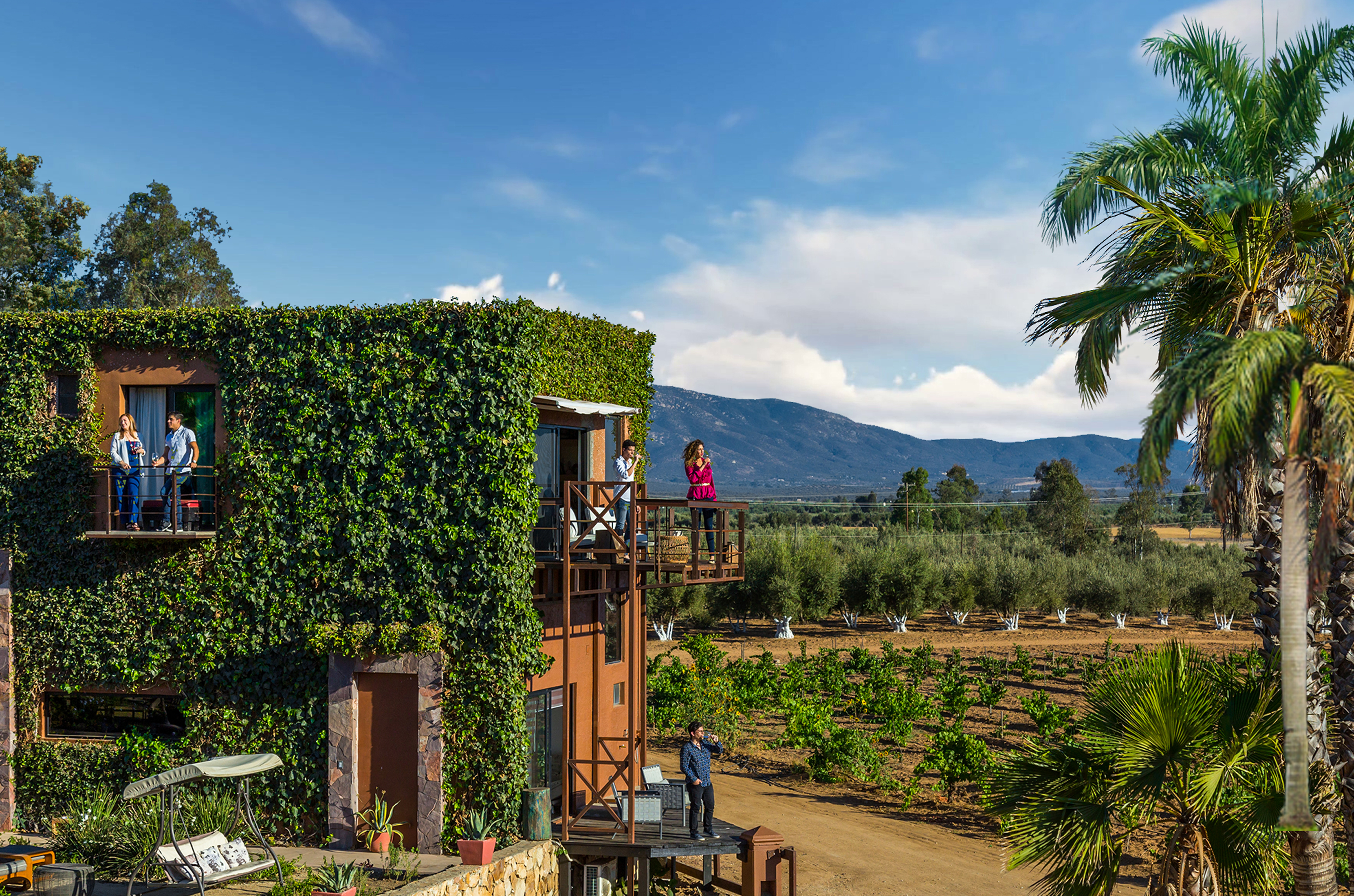 Hotel Boutique Valle De Guadalupe