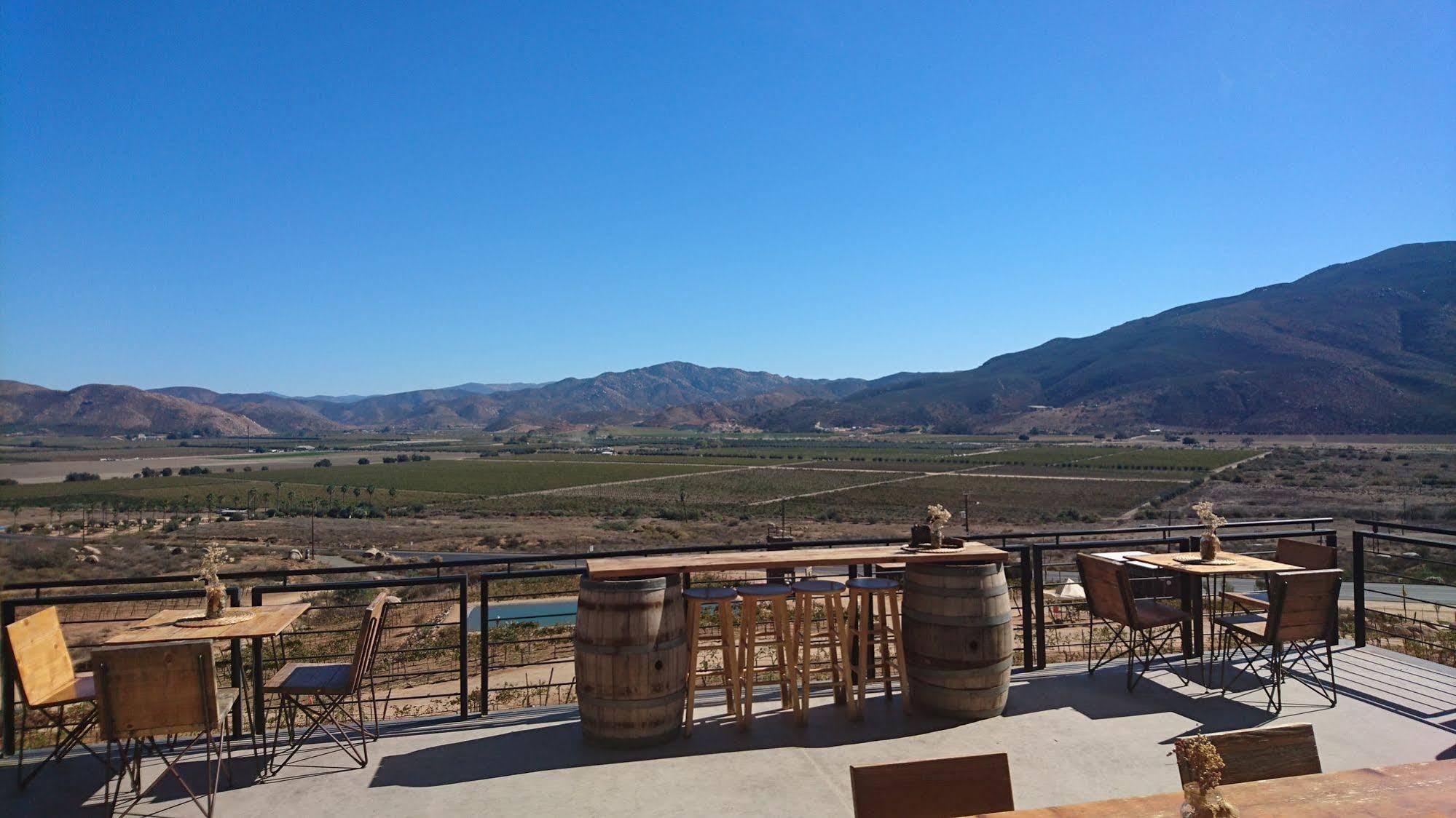 Encuentro Guadalupe