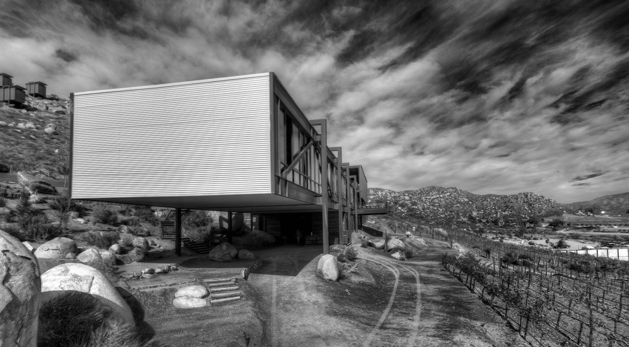 Encuentro Guadalupe