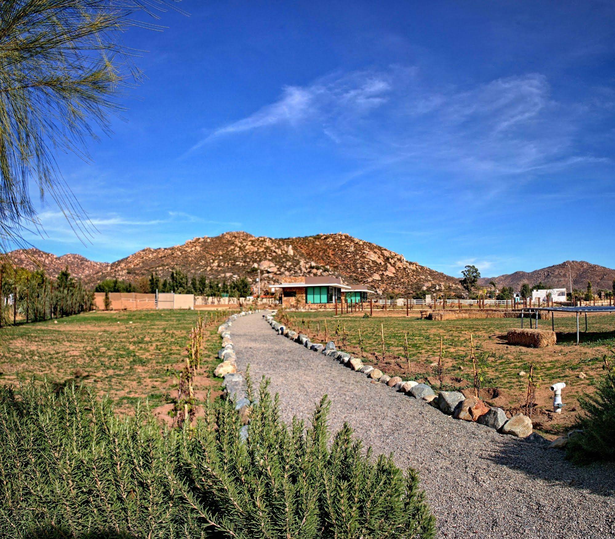 Hotel Entre Viñedos