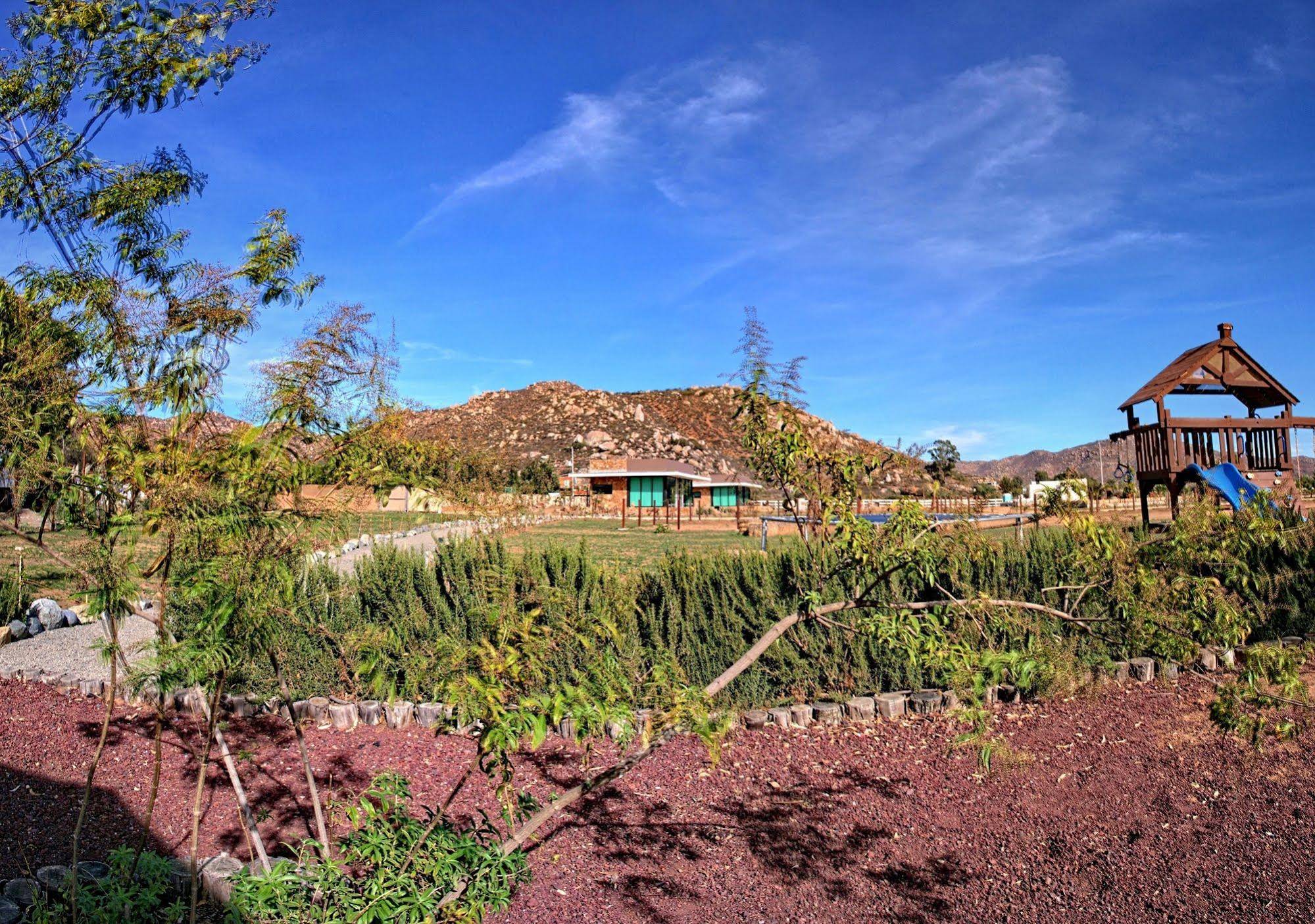 Hotel Entre Viñedos