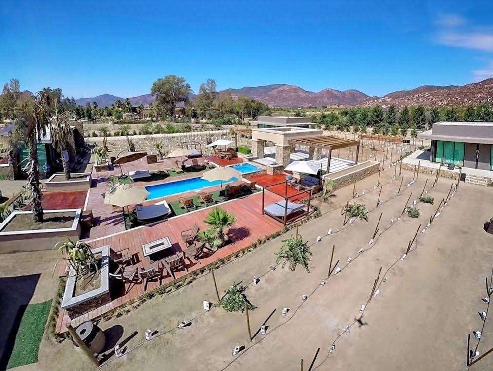 Hotel Entre Viñedos