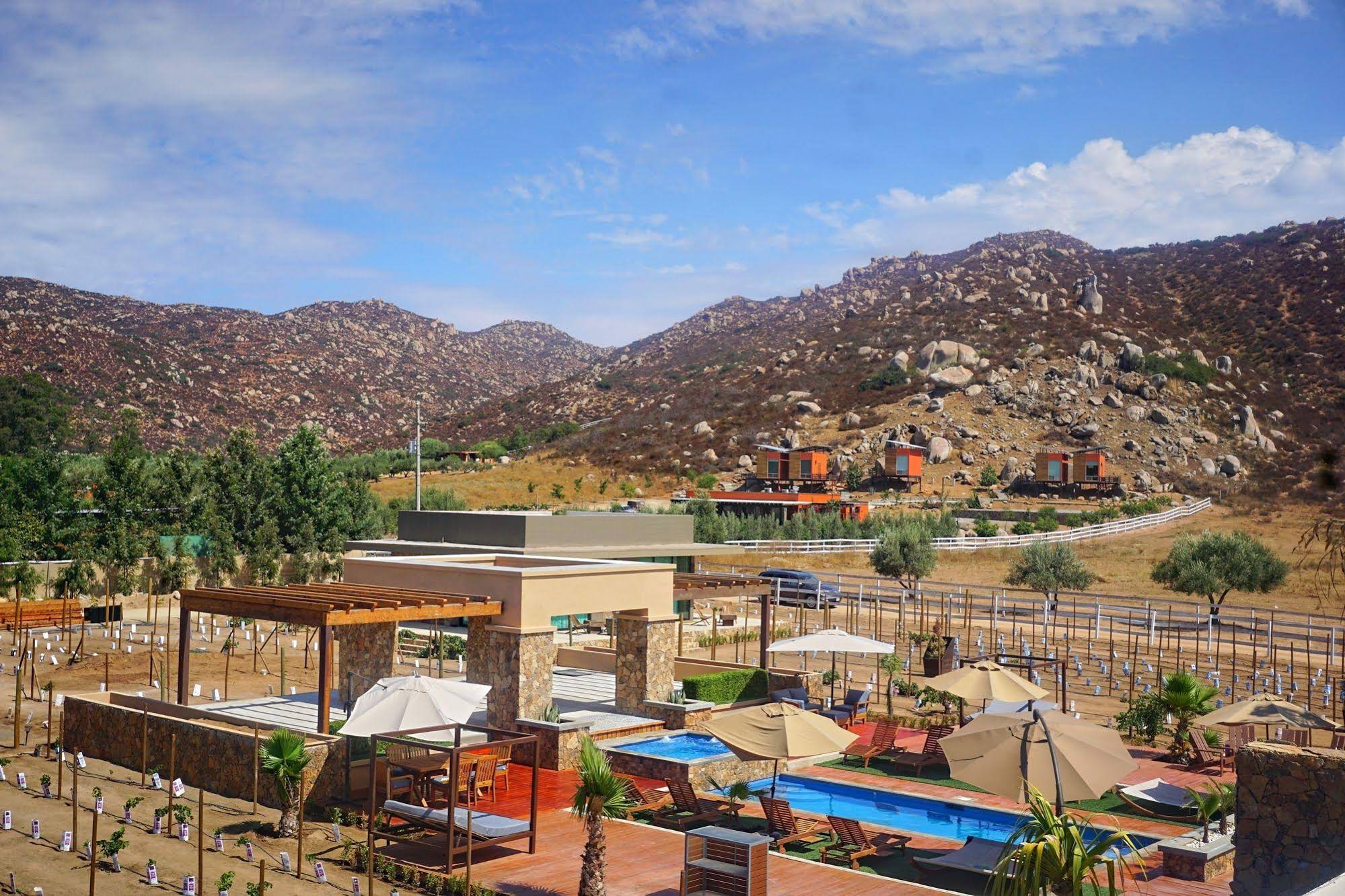Hotel Entre Viñedos