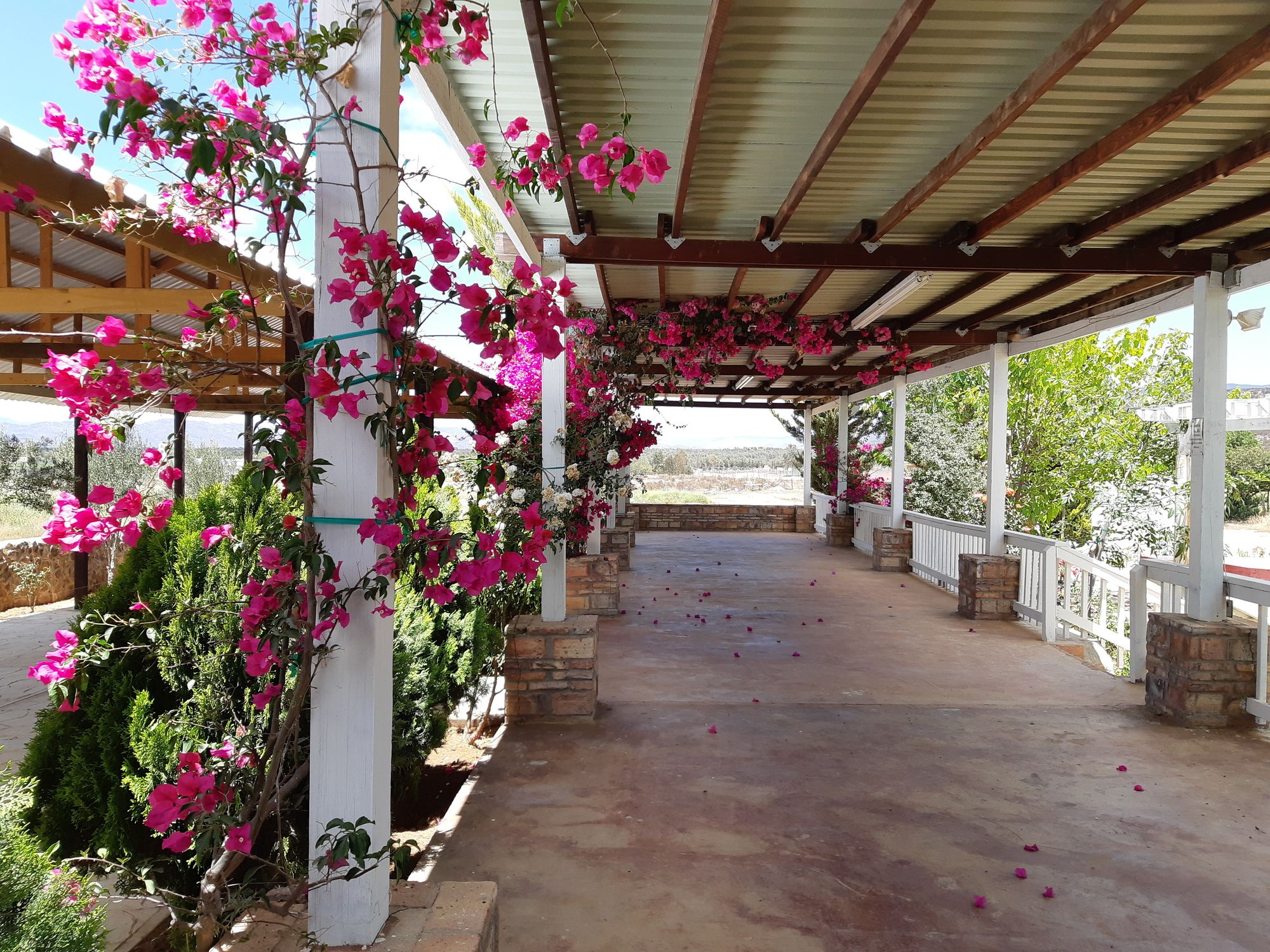 Meson del Vino