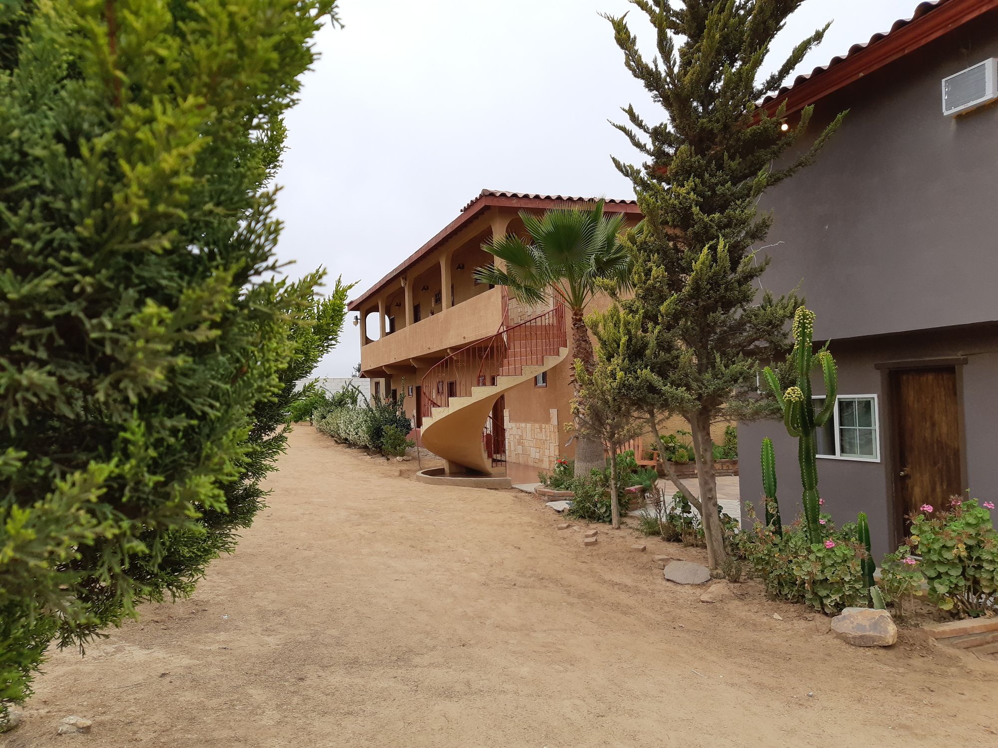 Meson del Vino