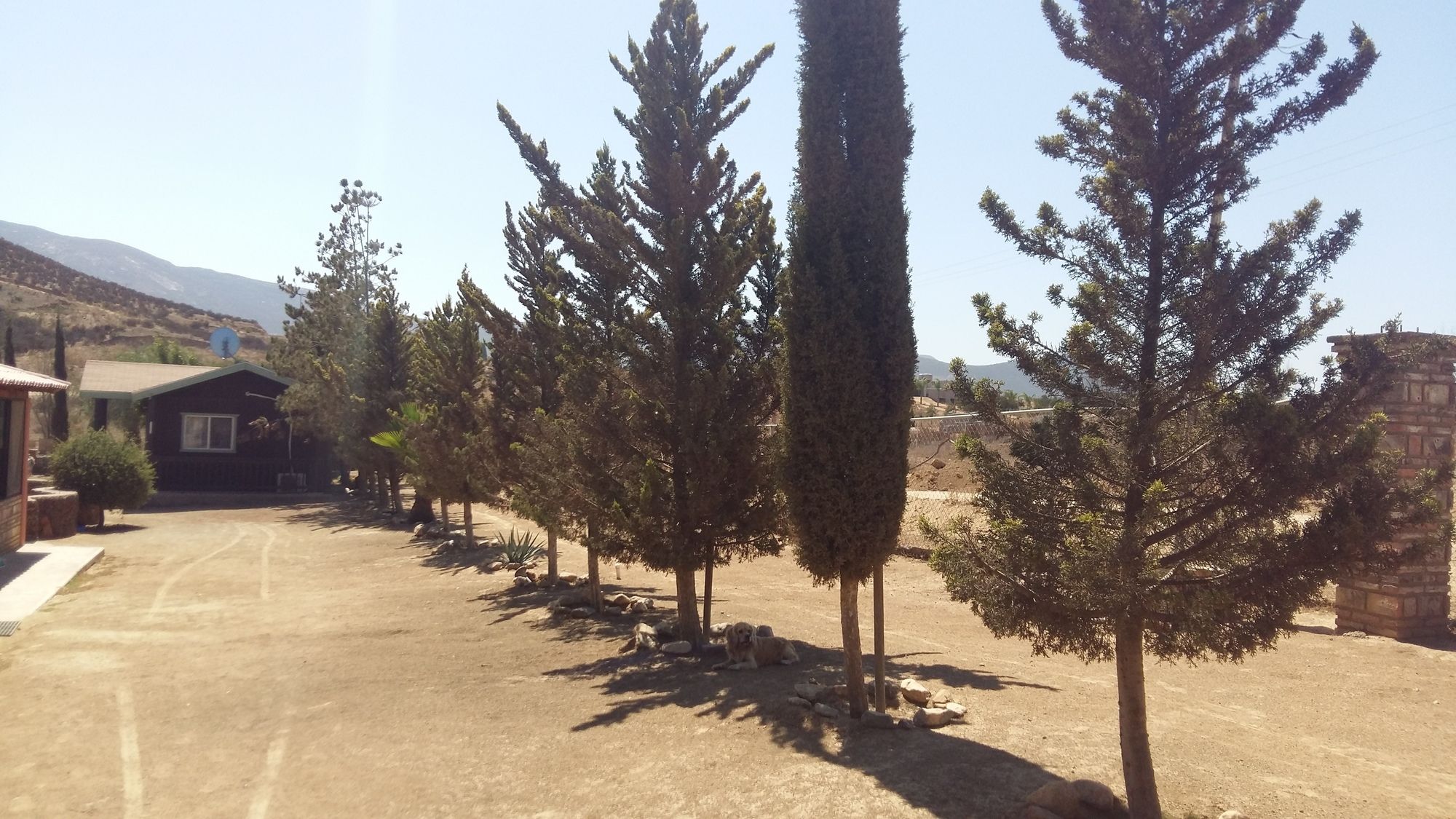 Meson del Vino