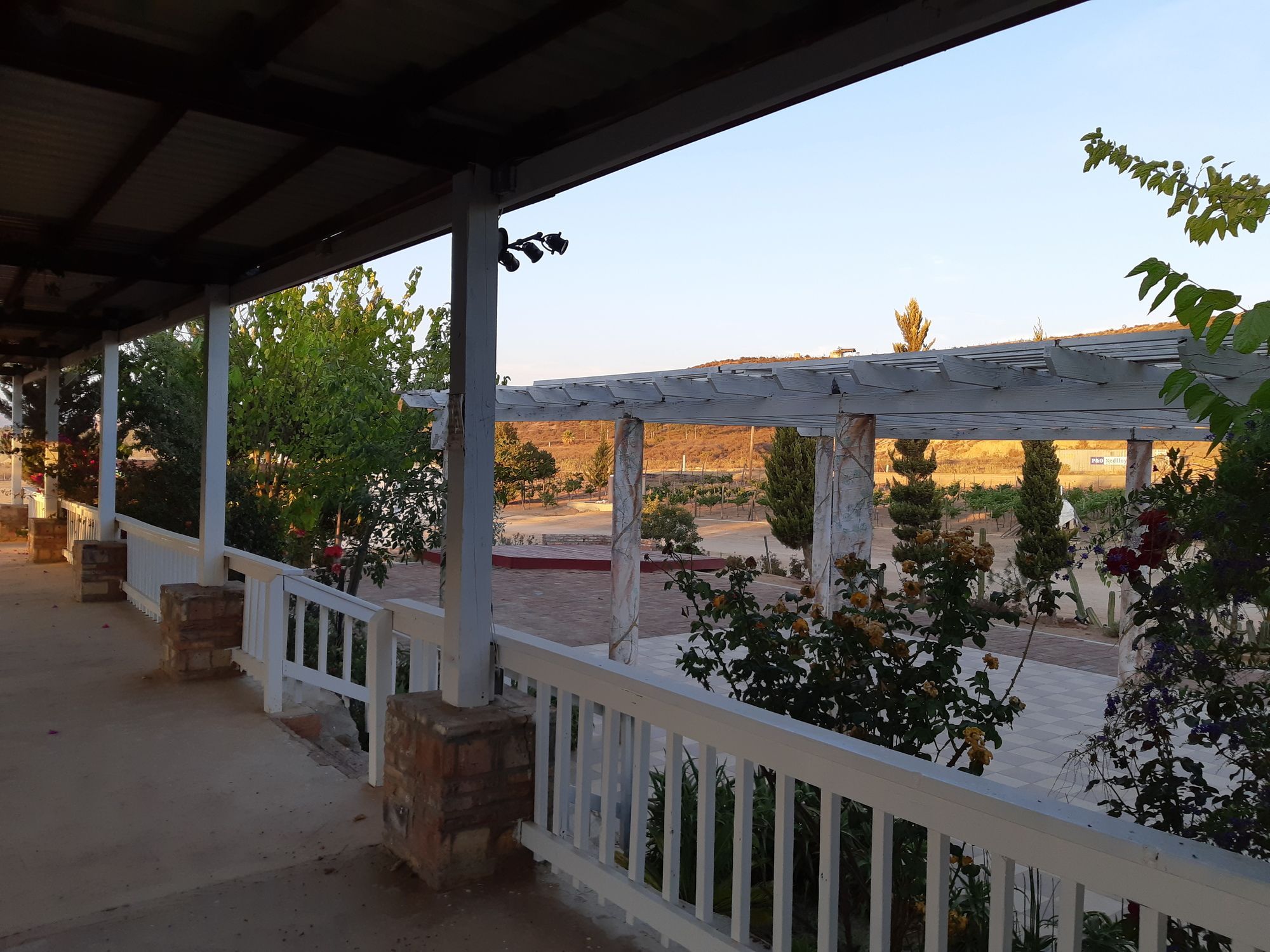 Meson del Vino