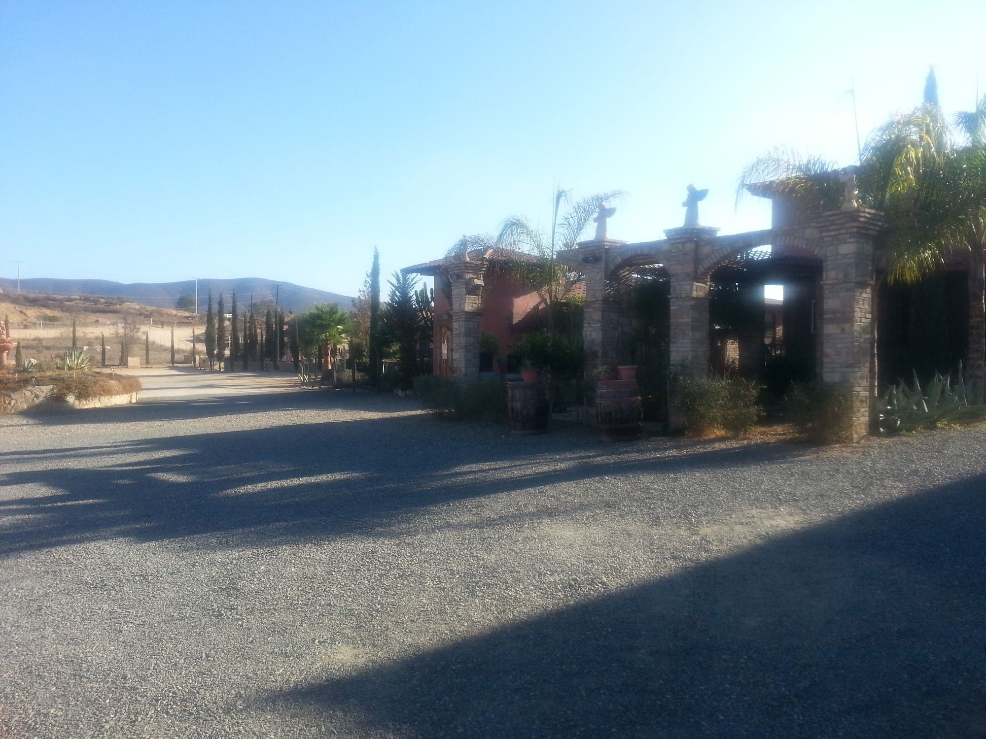 Meson del Vino
