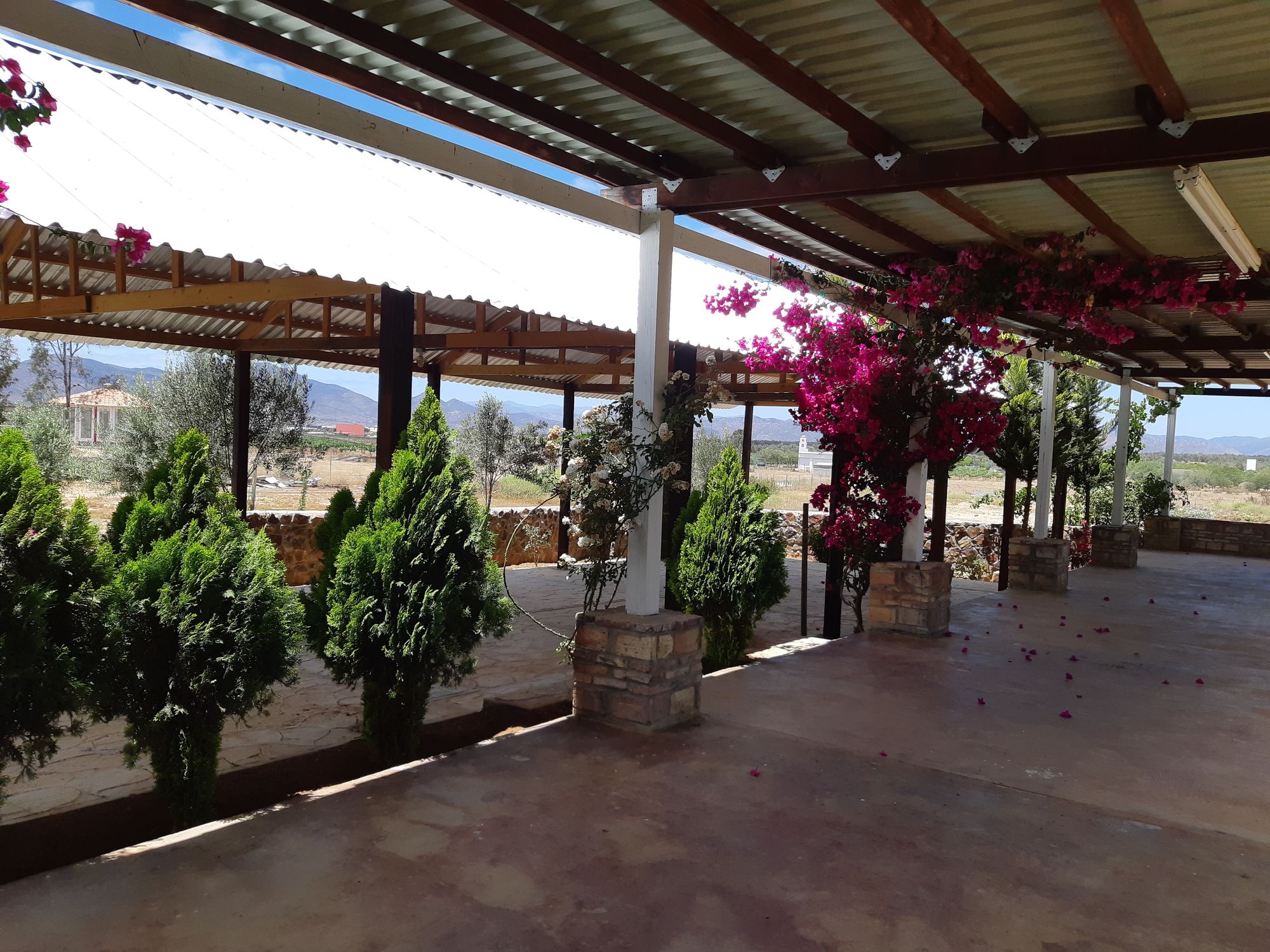 Meson del Vino