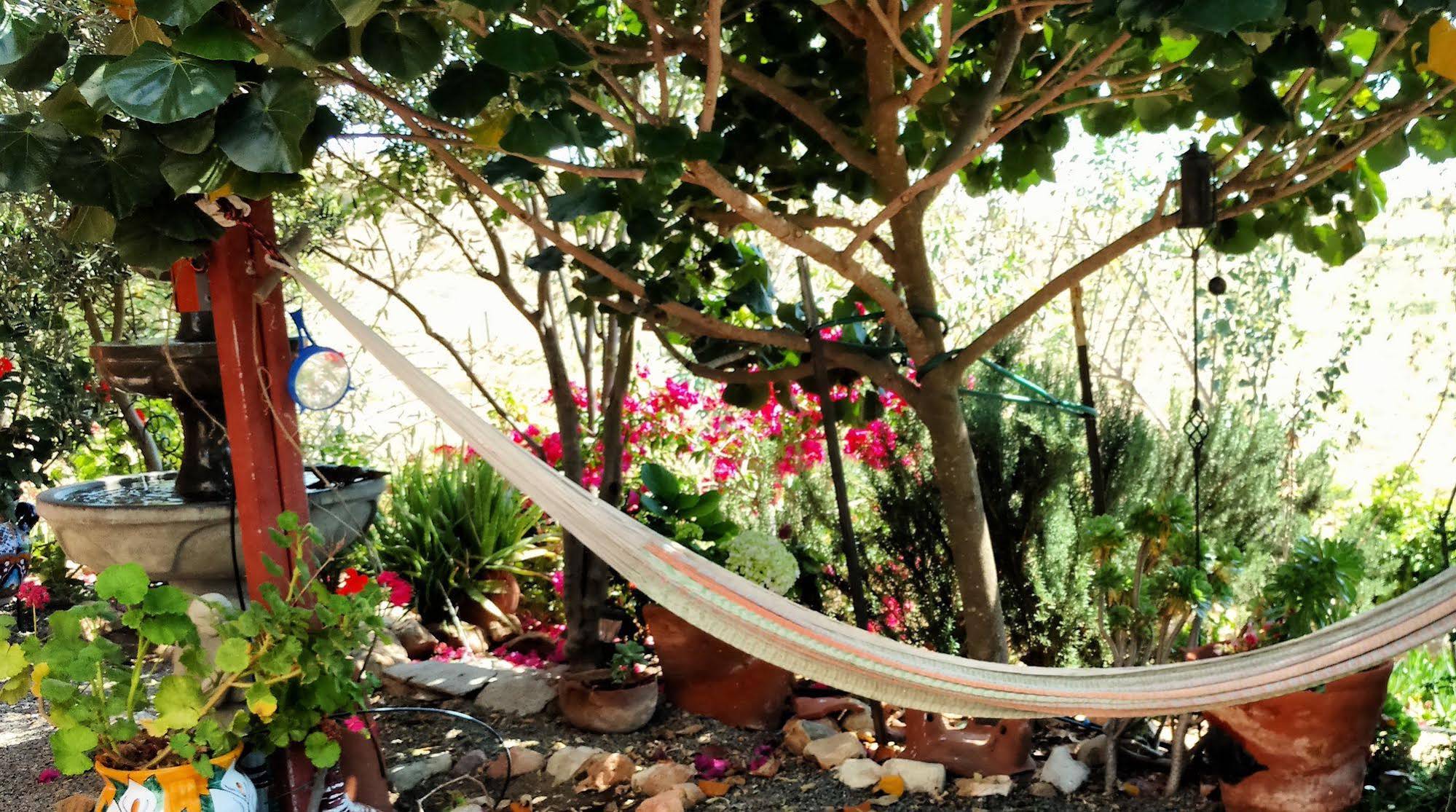 VinoPhiliac Bed & Breakfast