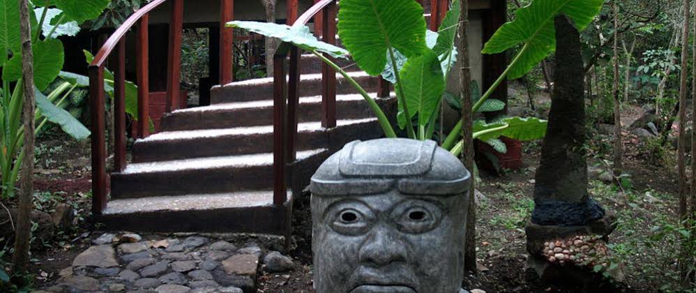 Gaia Paraiso