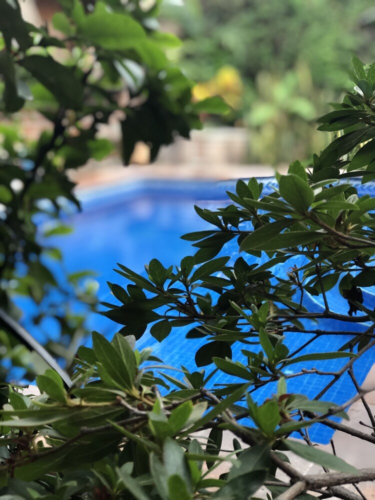 Casa Del Sol Inn