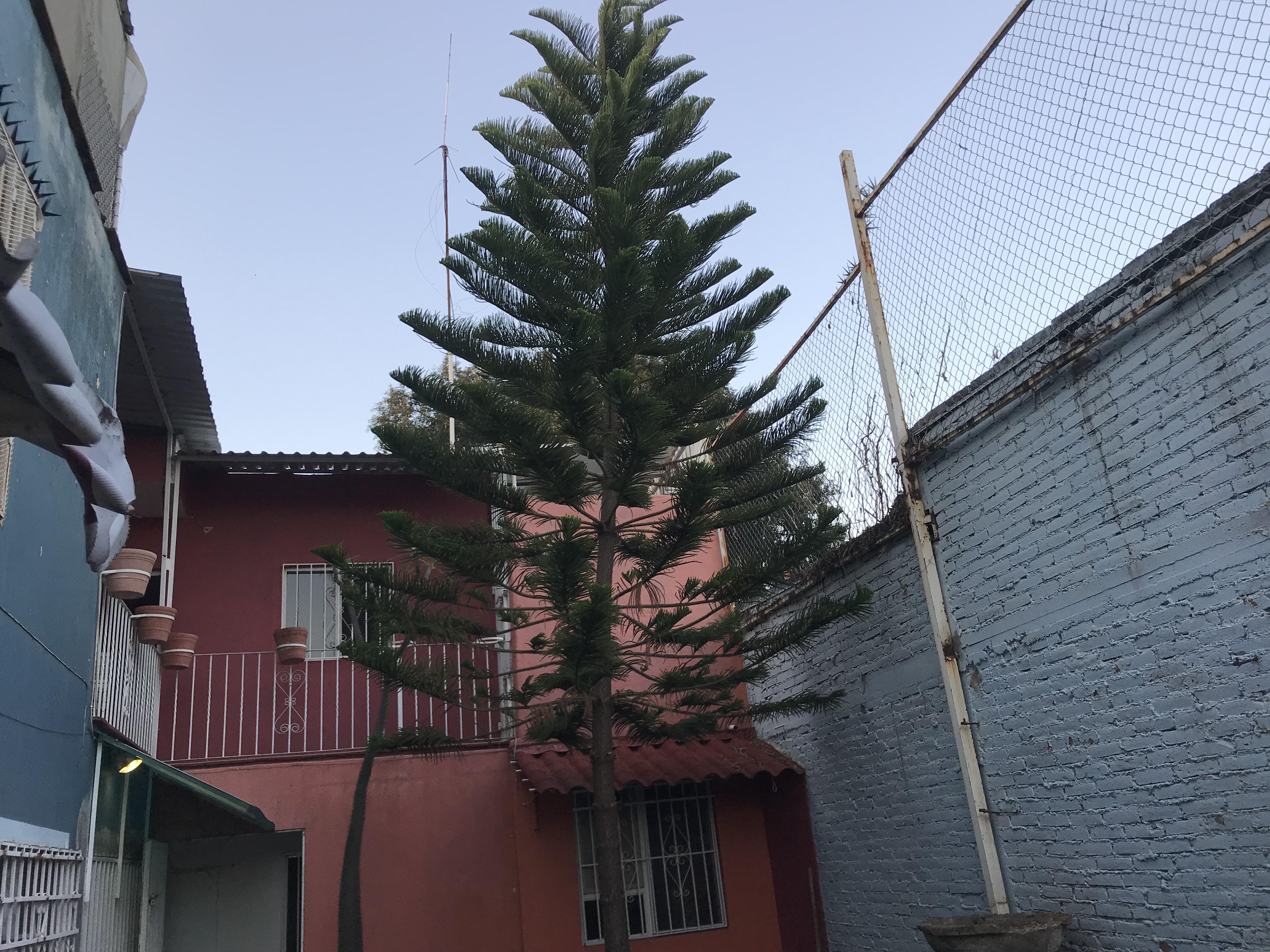 Casa Mexicana Hostal