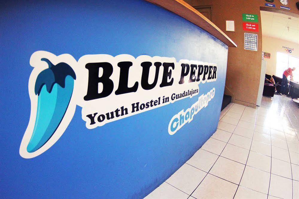 Blue Pepper Hostel Chapultepec