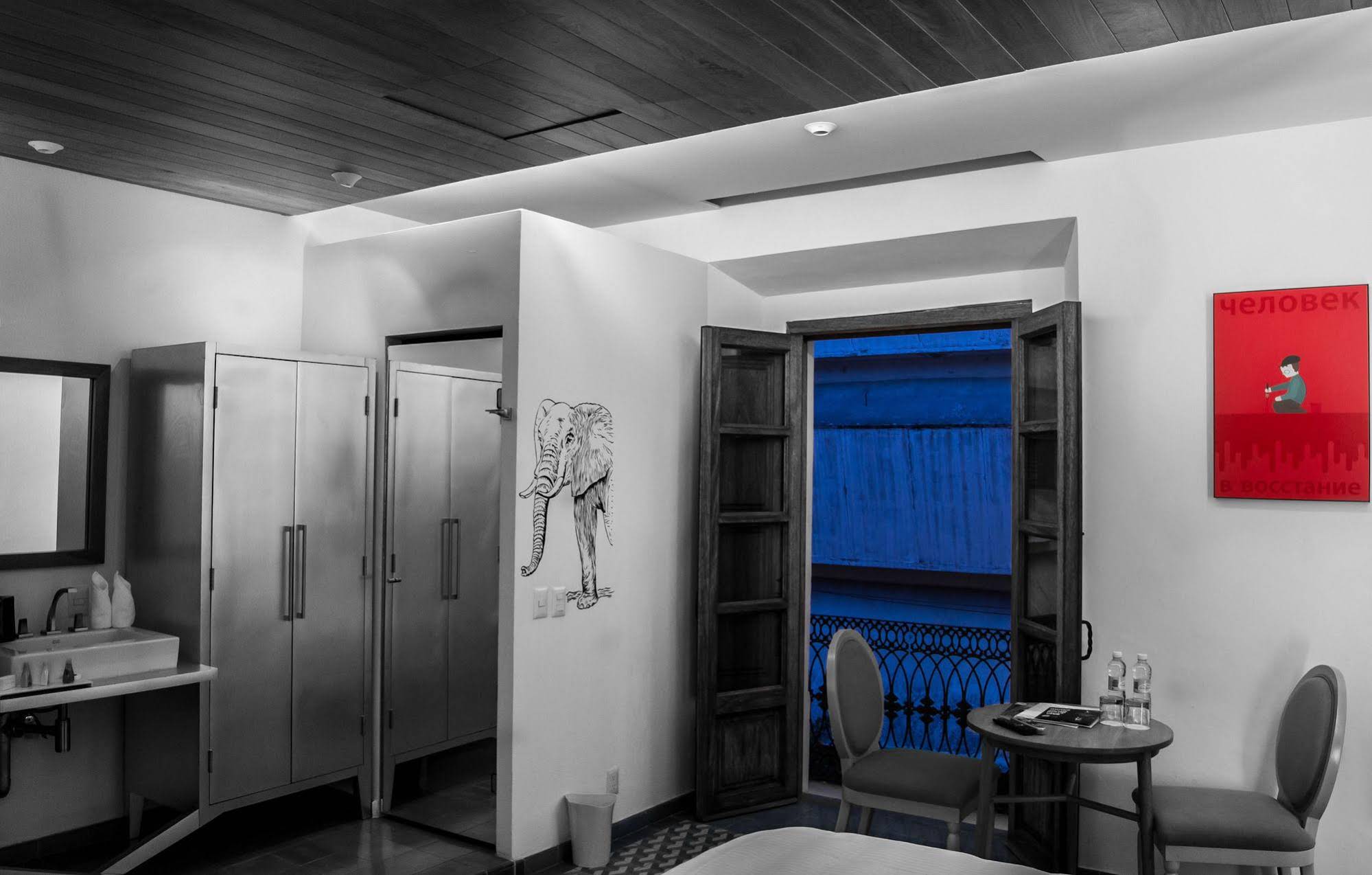 Del Carmen Concept
