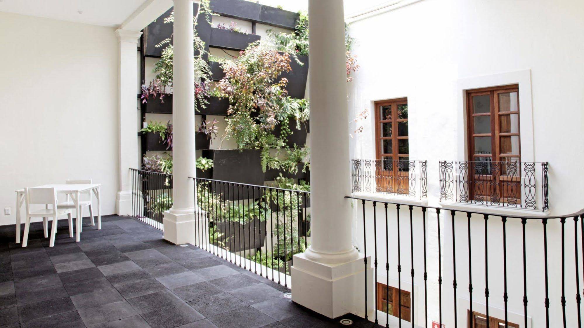Del Carmen Concept