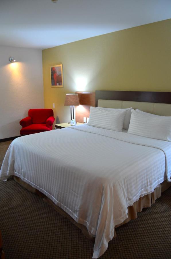 Holiday Inn Select Guadalajara