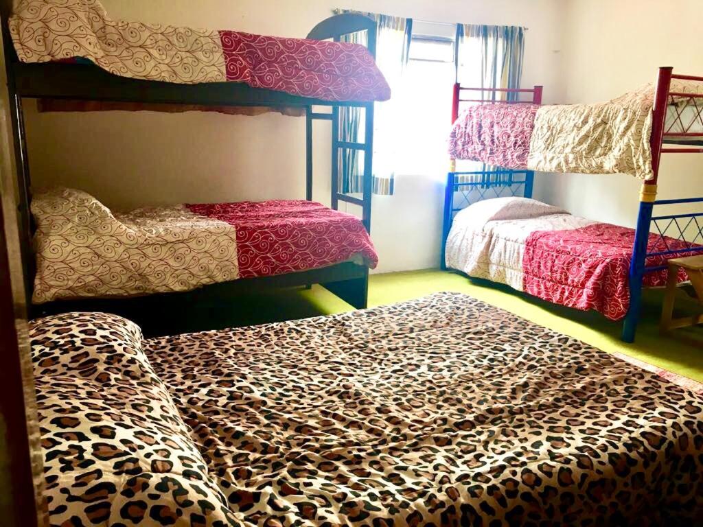Hostal Majak Chapultepec