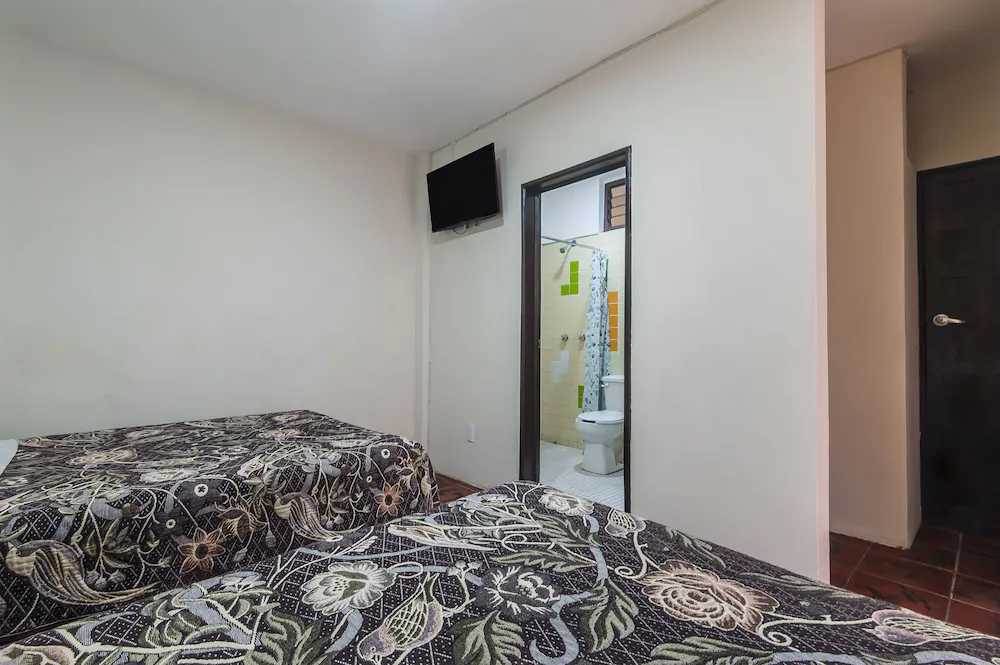 Hotel Flamingos